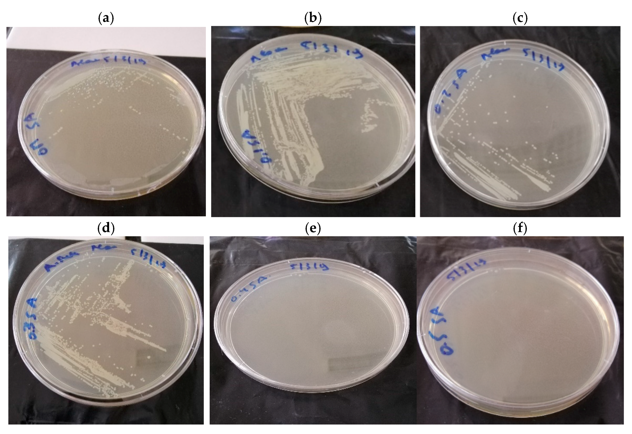 Applmicrobiol 01 00022 g008 Applmicrobiol 01 00022 g008