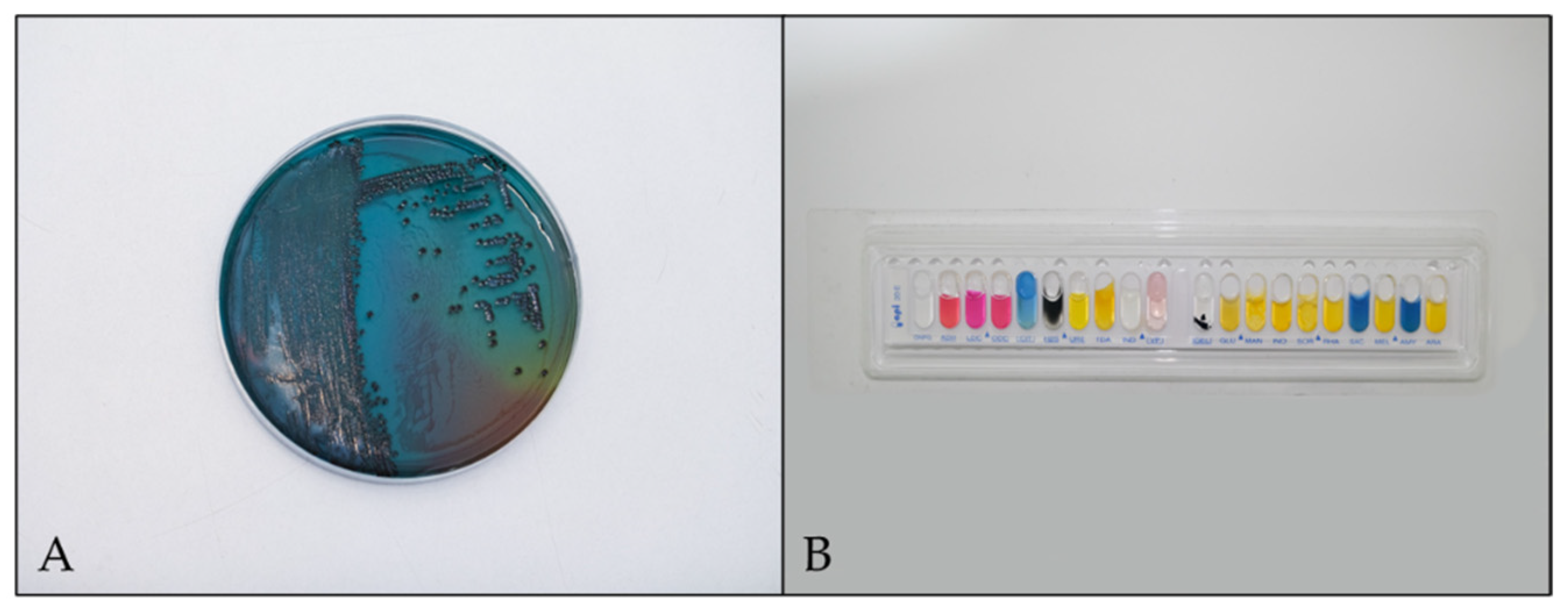 Applmicrobiol 01 00033 g002
