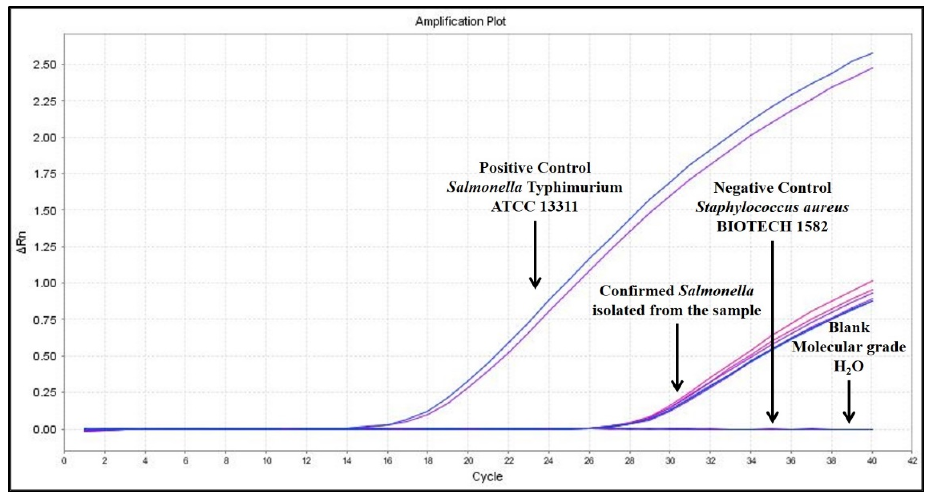 Applmicrobiol 01 00033 g003