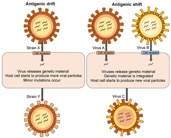 Doctors warn about eye damage from UV lights to kill the coronavirus