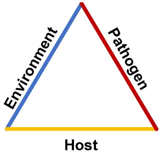 Prevent Infection Transmission: The Epidemiologic Triangle
