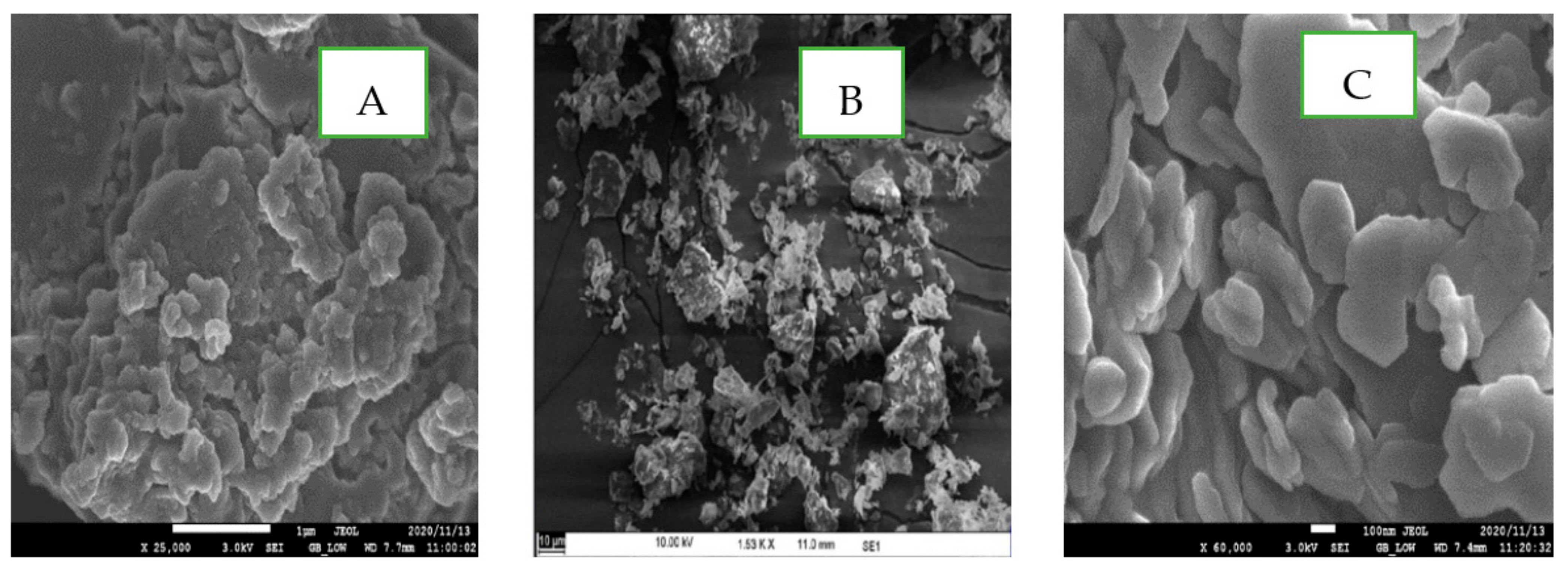 Applmicrobiol 01 00038 g008 550