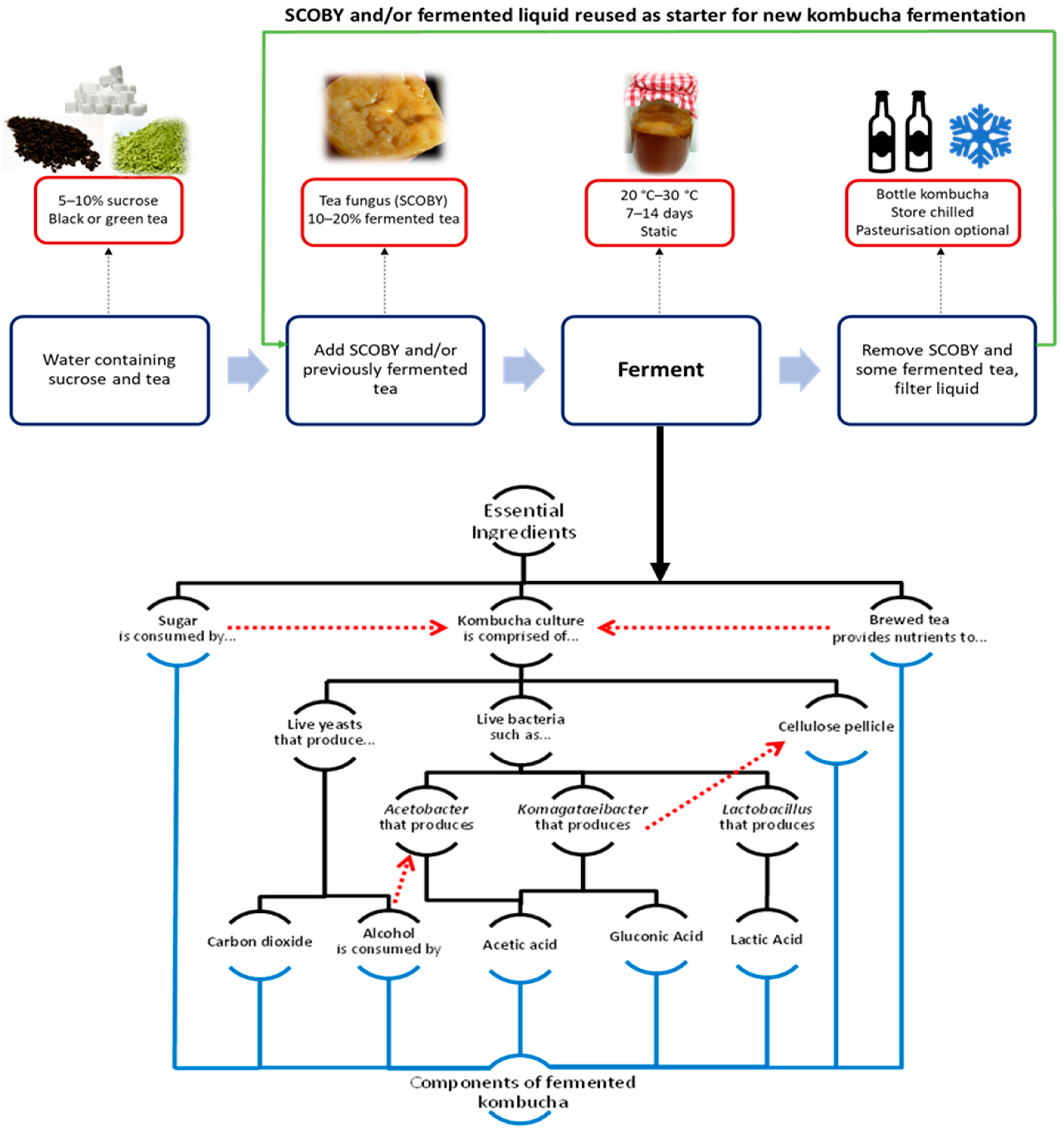 Applmicrobiol 02 00005 g001