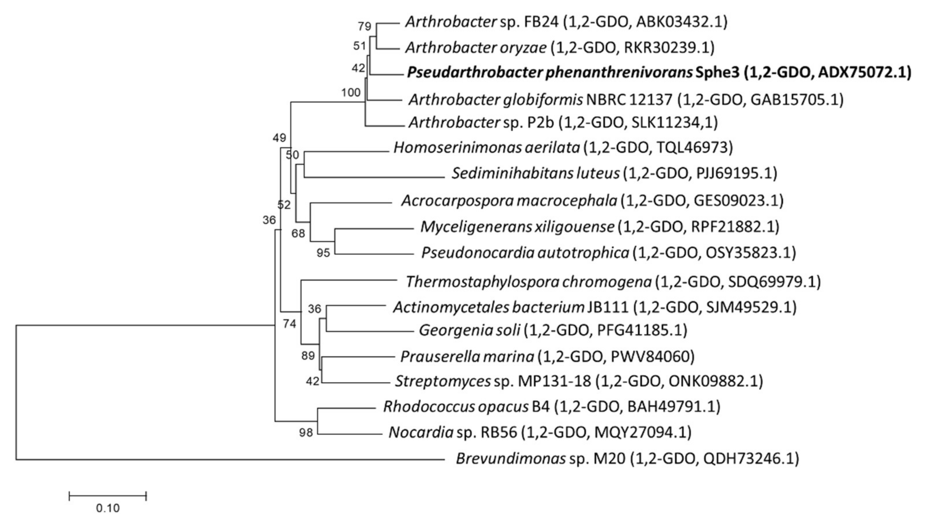 Applmicrobiol 02 00007 g001 Applmicrobiol 02 00007 g001