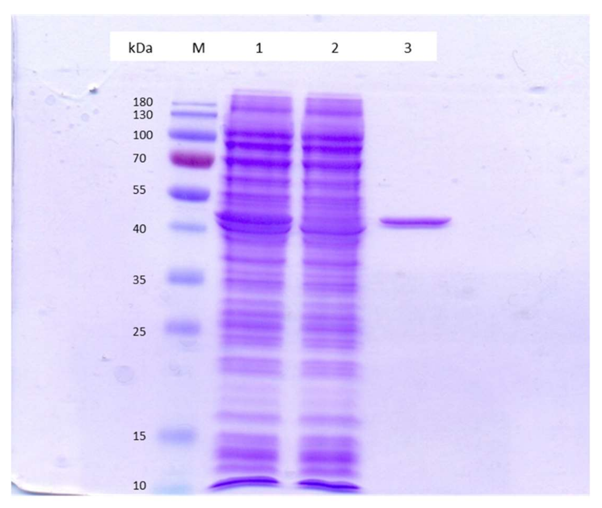 Applmicrobiol 02 00007 g005 Applmicrobiol 02 00007 g005