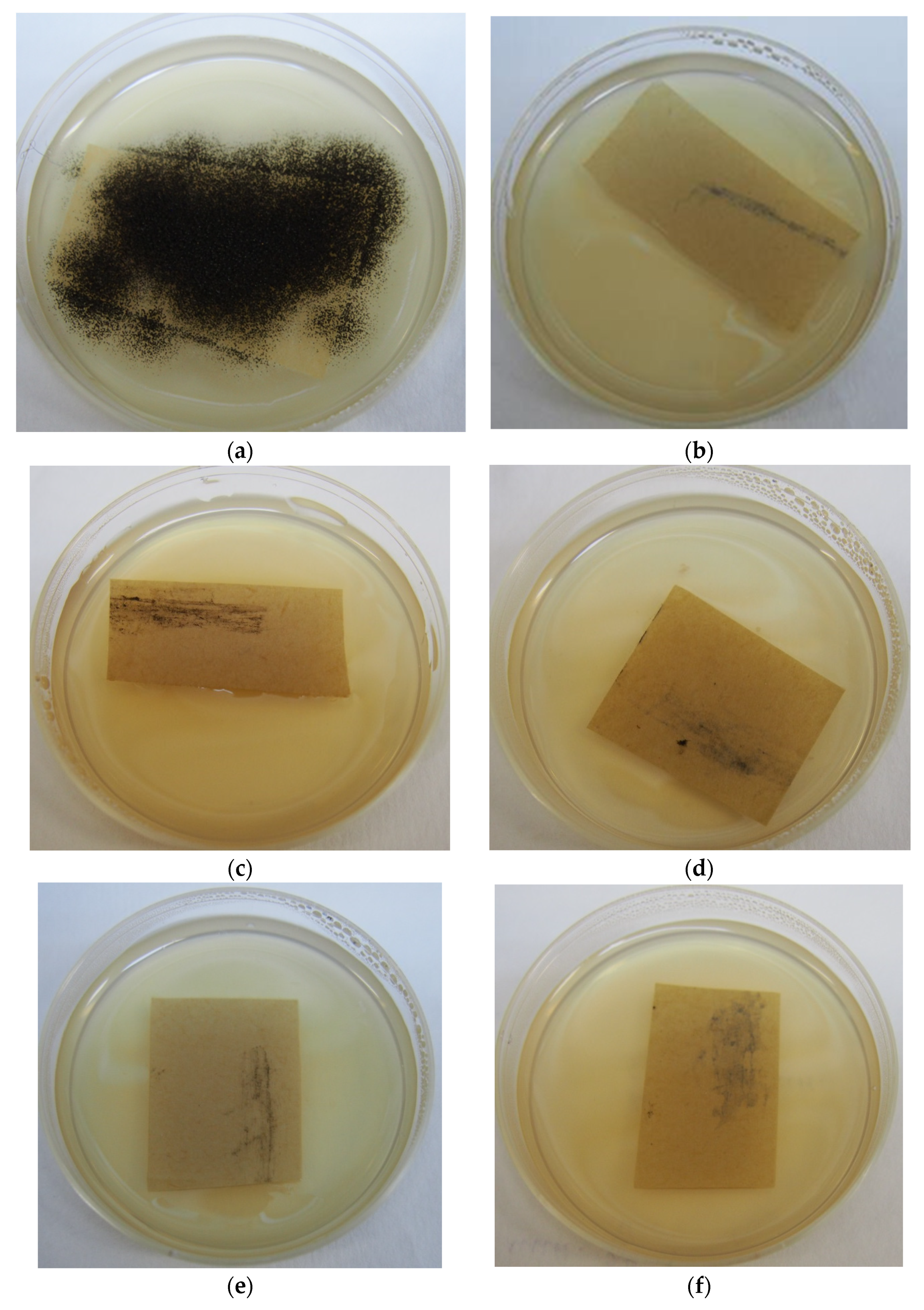 Applmicrobiol 02 00013 g001 550