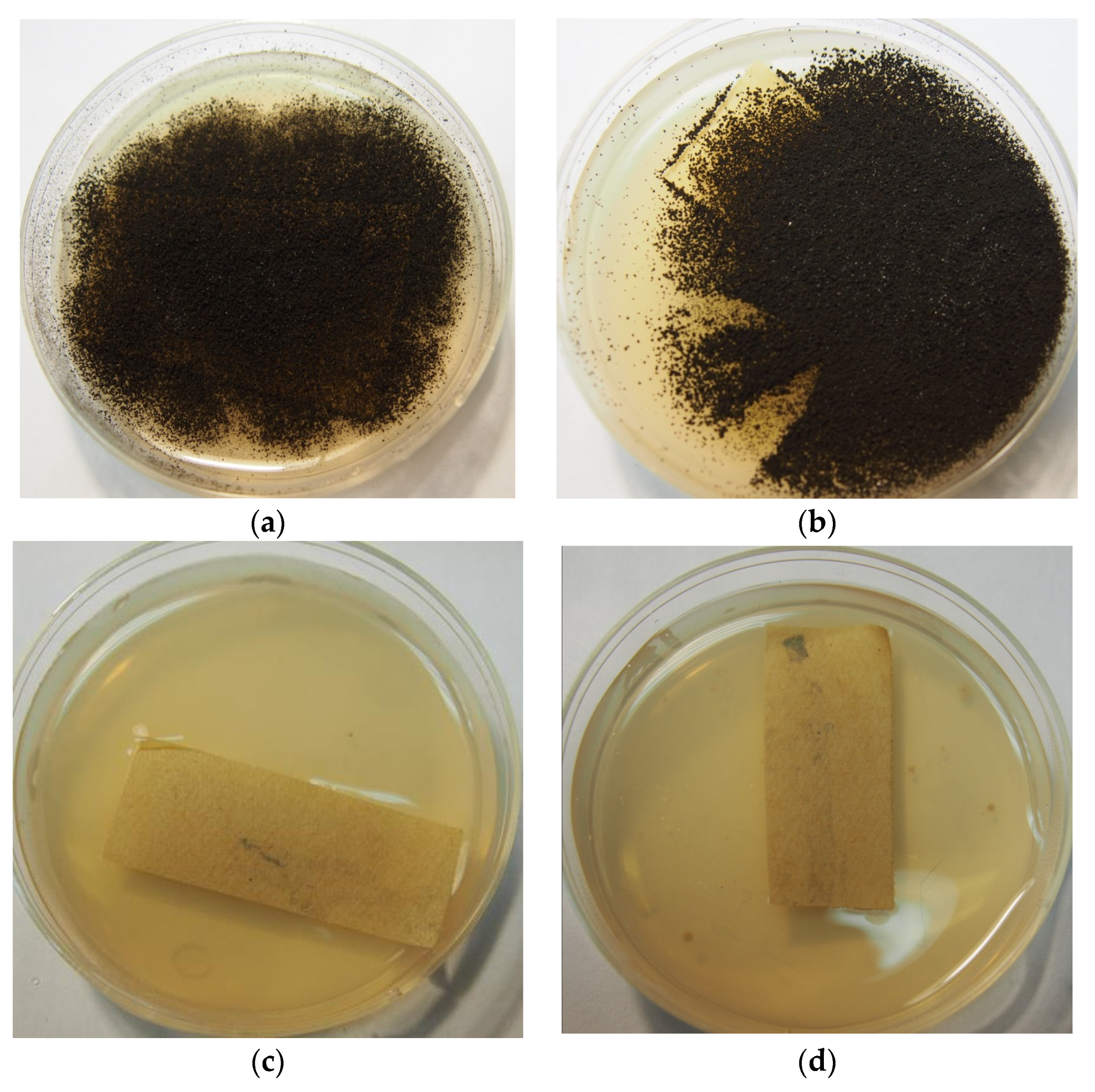 Applmicrobiol 02 00013 g002 550