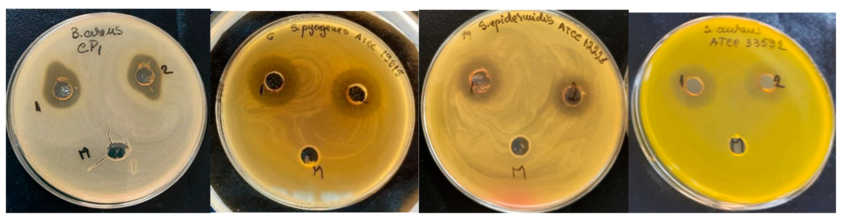 Applmicrobiol 02 00016 g001
