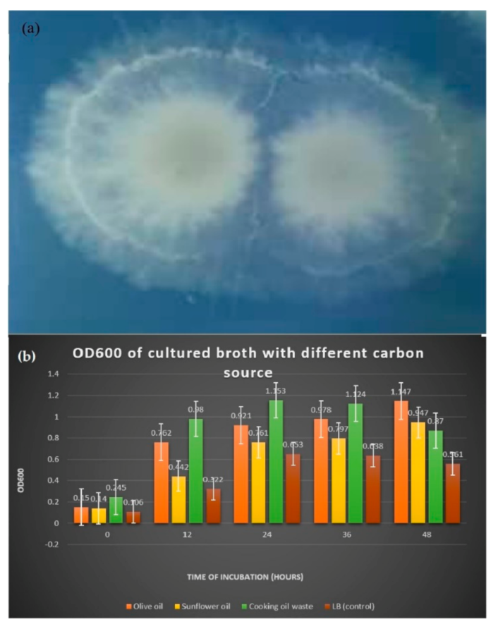 Applmicrobiol 02 00017 g001