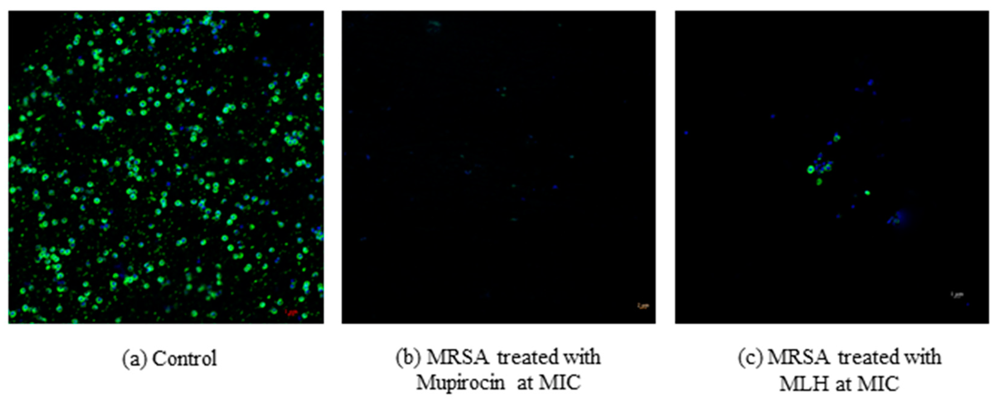 Applmicrobiol 02 00019 g003