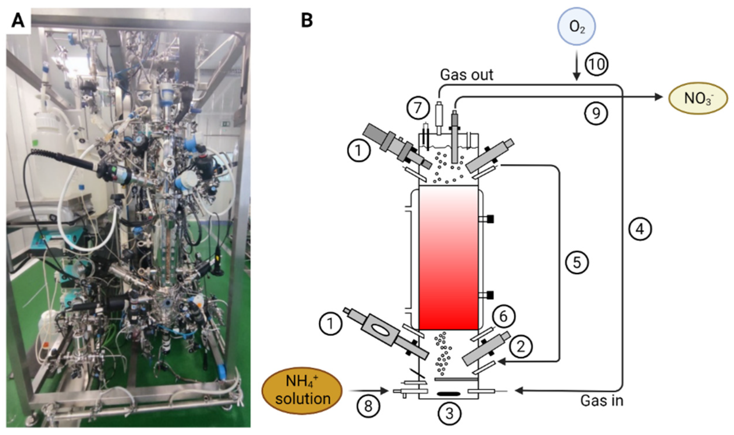 Applmicrobiol 02 00020 g001