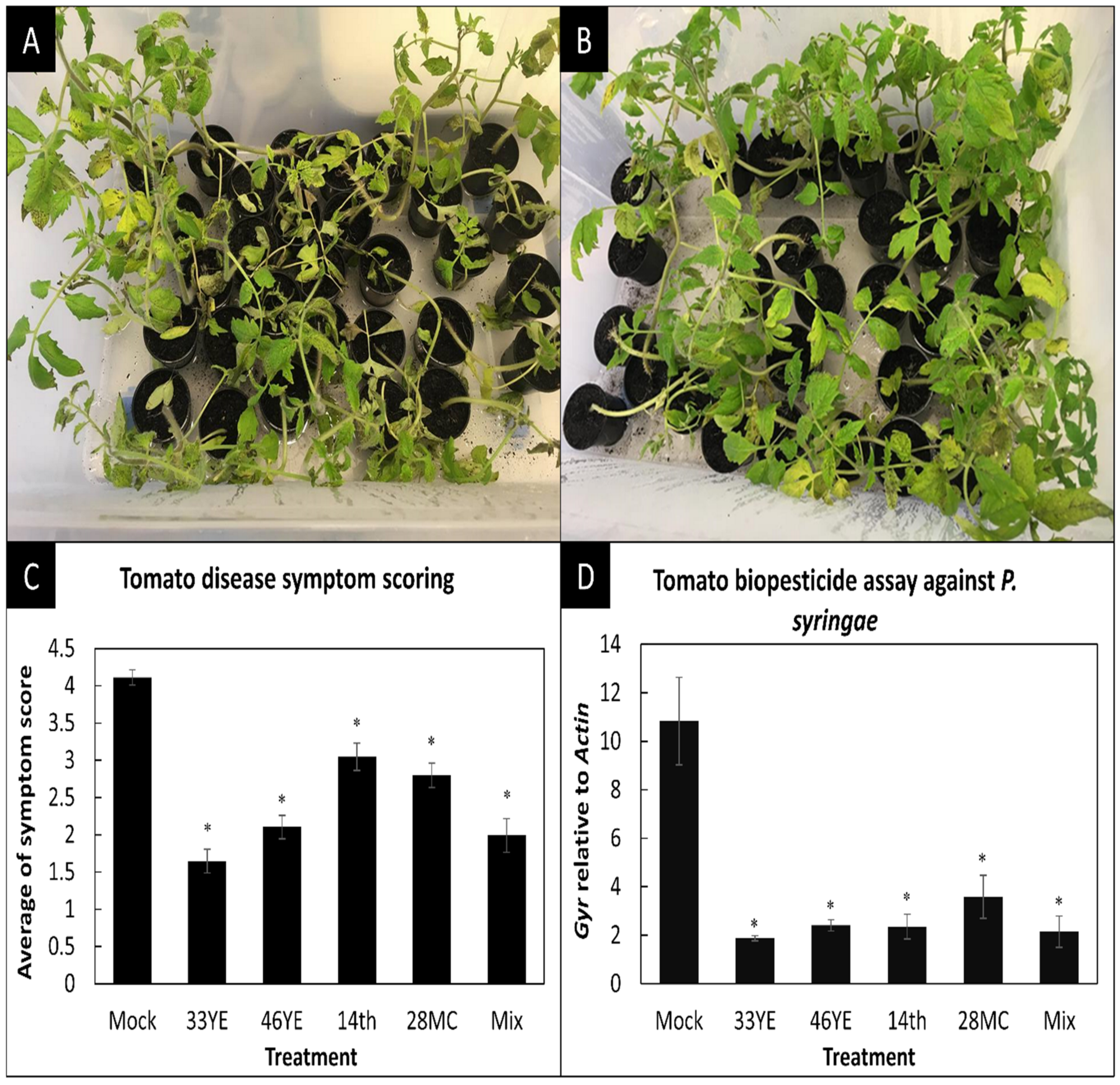 Applmicrobiol 02 00021 g002 Applmicrobiol 02 00021 g002