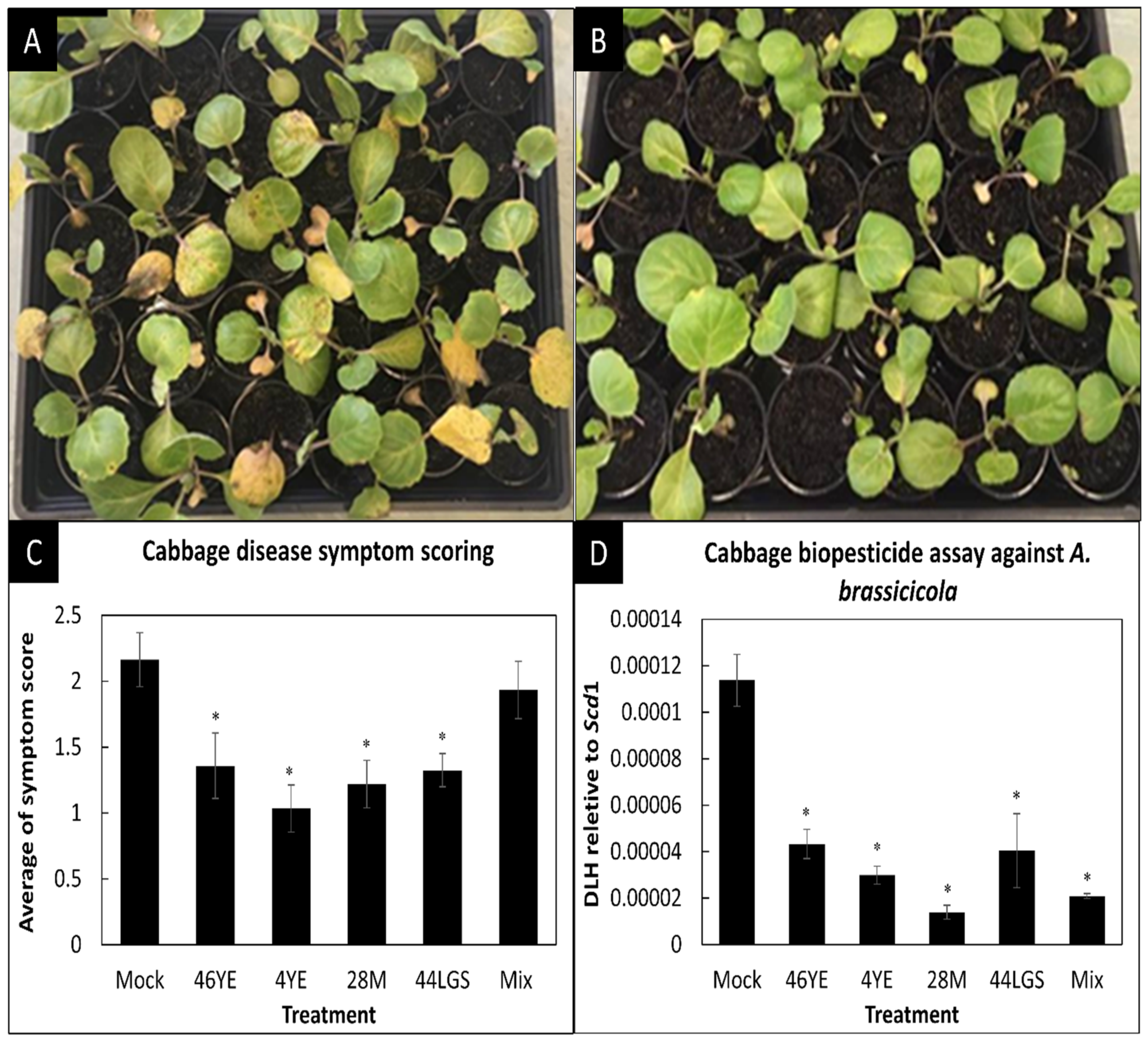 Applmicrobiol 02 00021 g003 Applmicrobiol 02 00021 g003