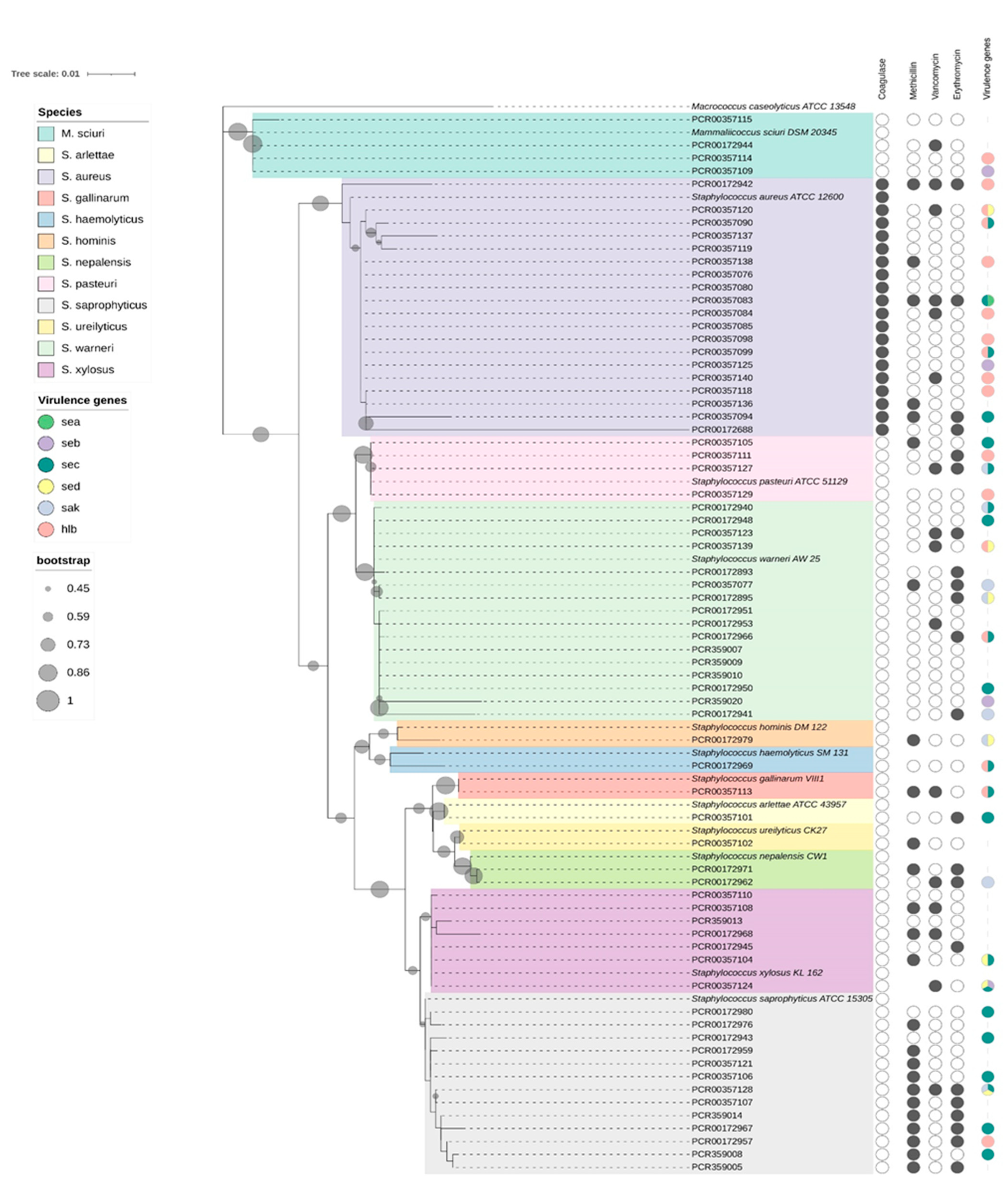 Applmicrobiol 02 00028 g001 Applmicrobiol 02 00028 g001