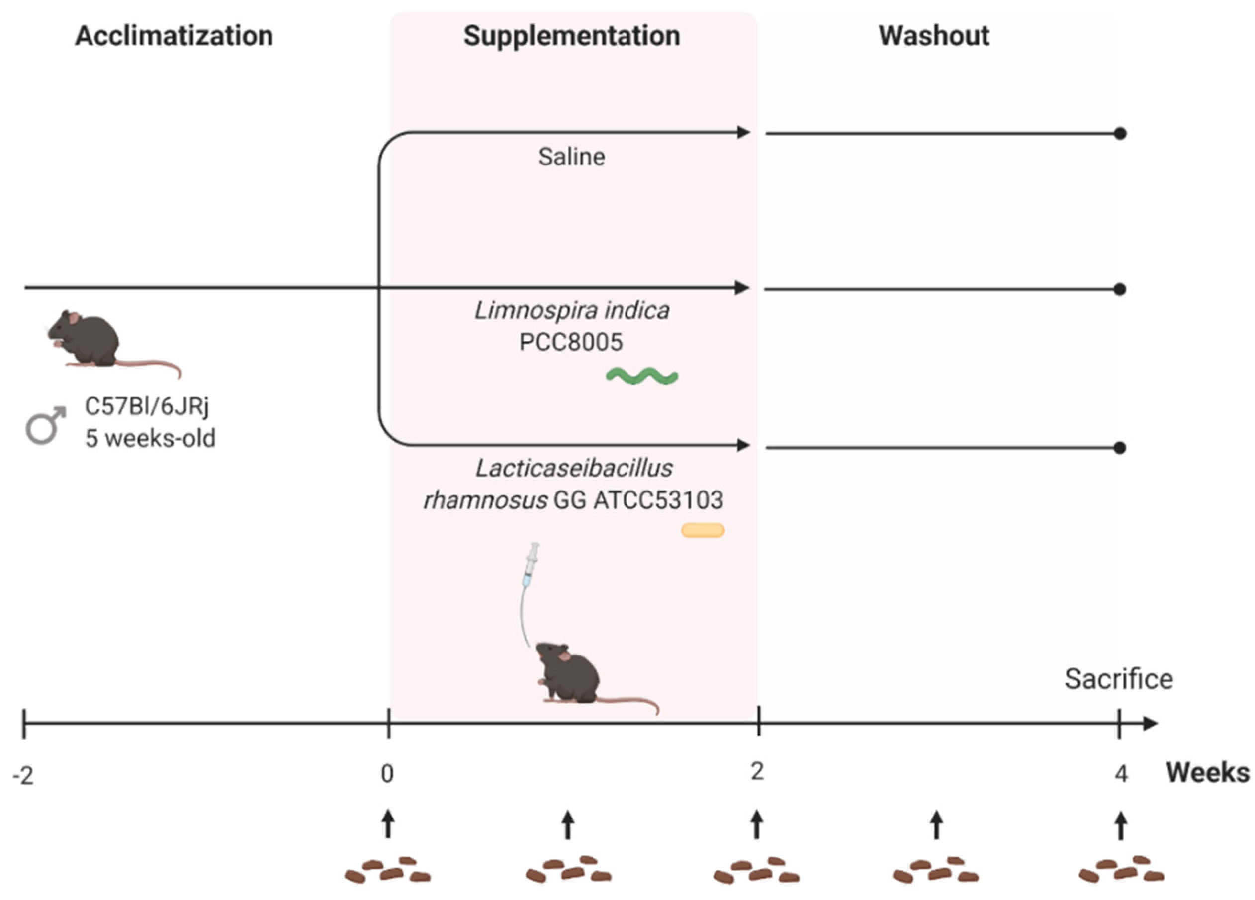 Applmicrobiol 02 00049 g001