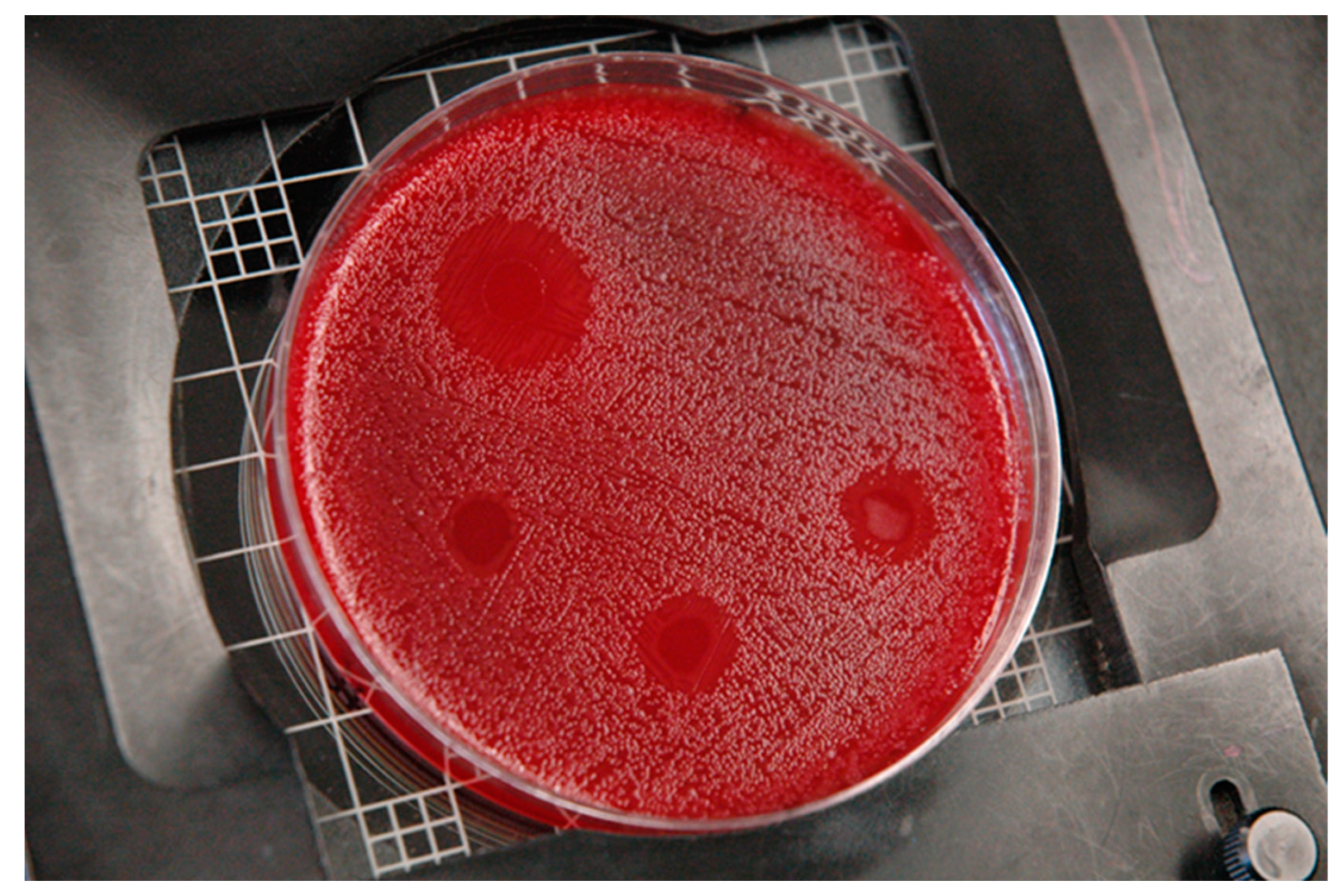 Applmicrobiol 02 00053 g001 Applmicrobiol 02 00053 g001