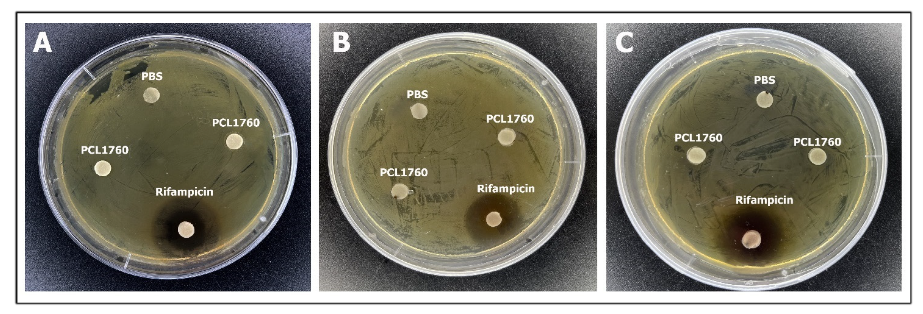 Applmicrobiol 02 00057 g004 Applmicrobiol 02 00057 g004