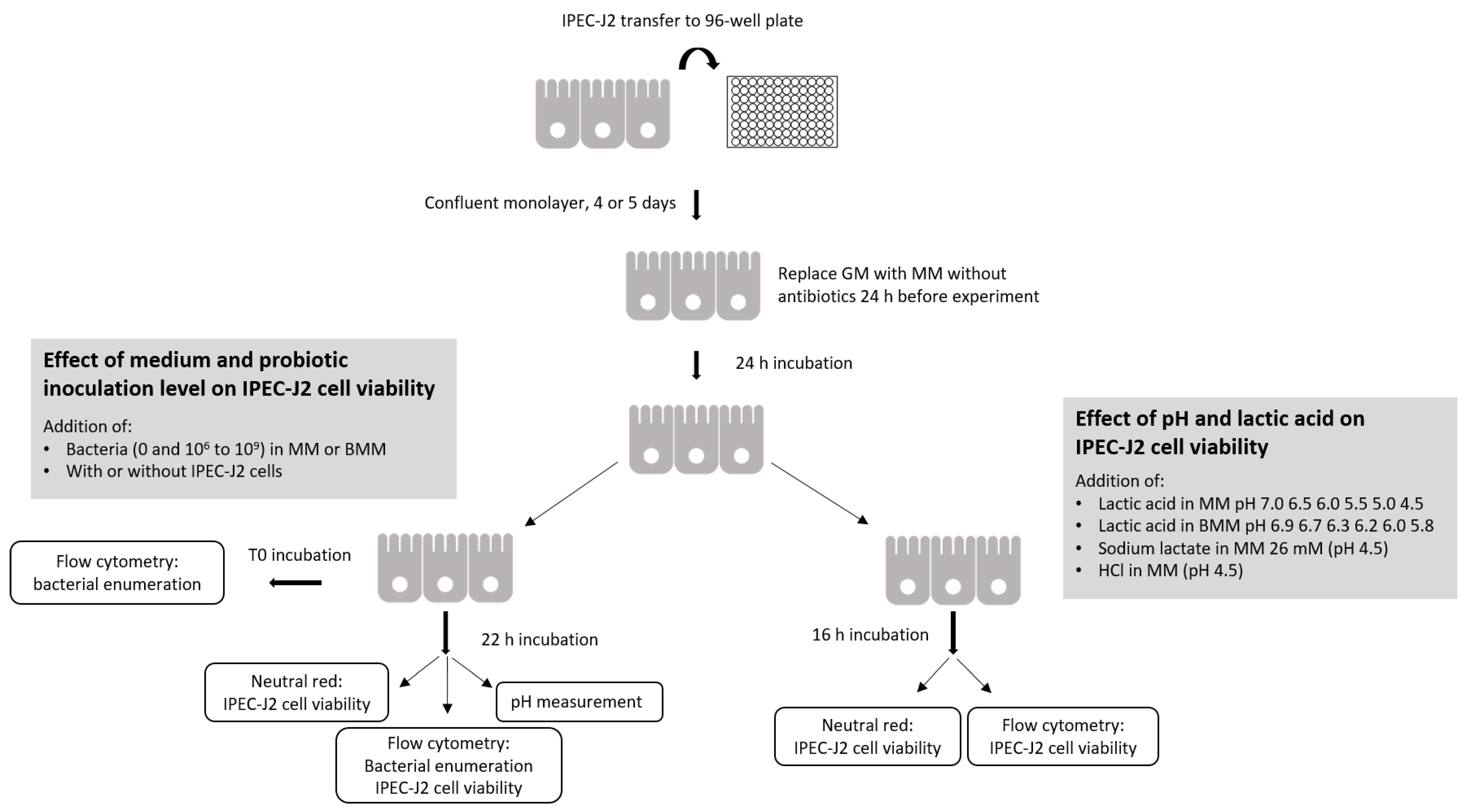 Applmicrobiol 02 00058 g001
