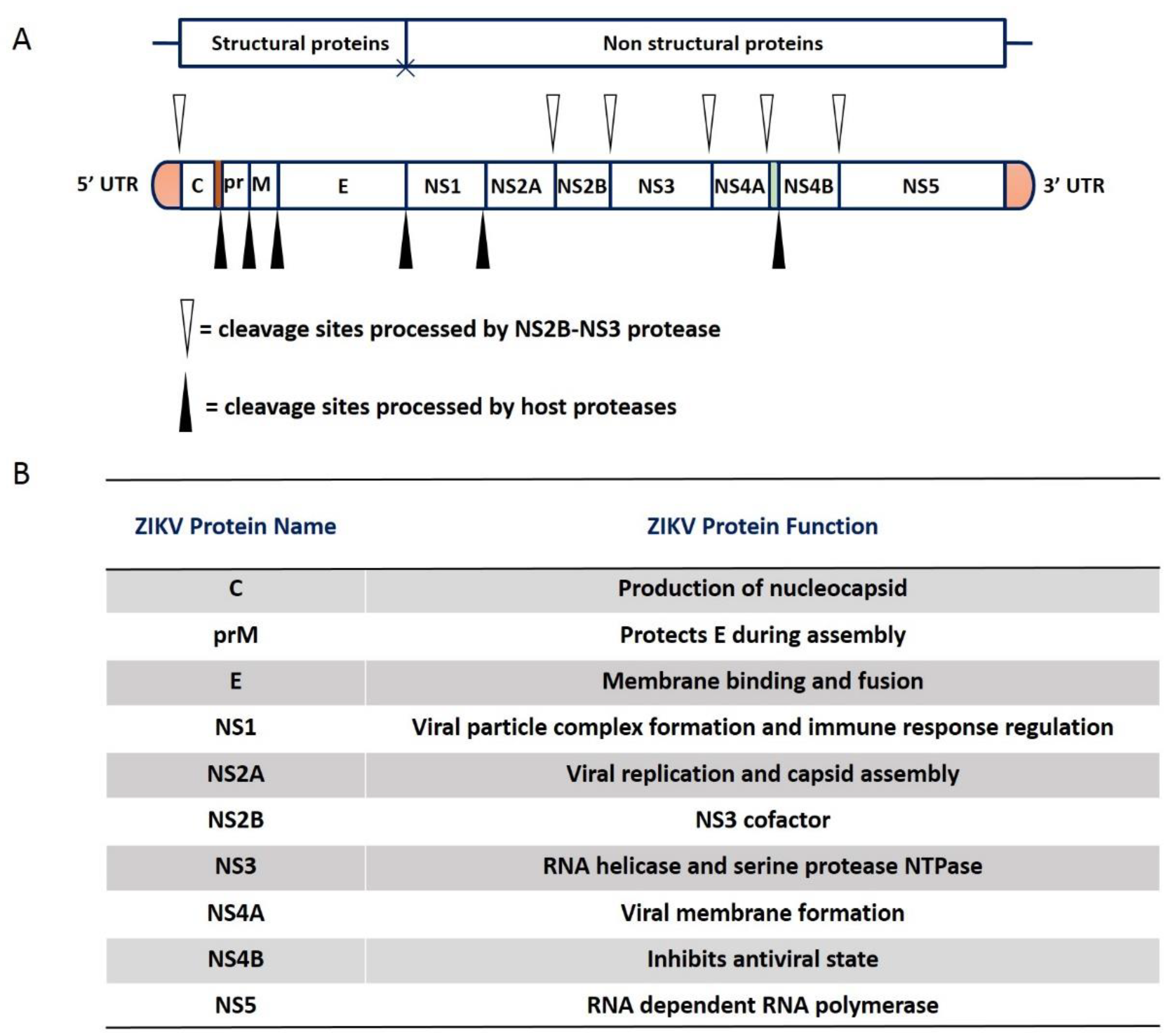 Applmicrobiol 02 00059 g002 Applmicrobiol 02 00059 g002