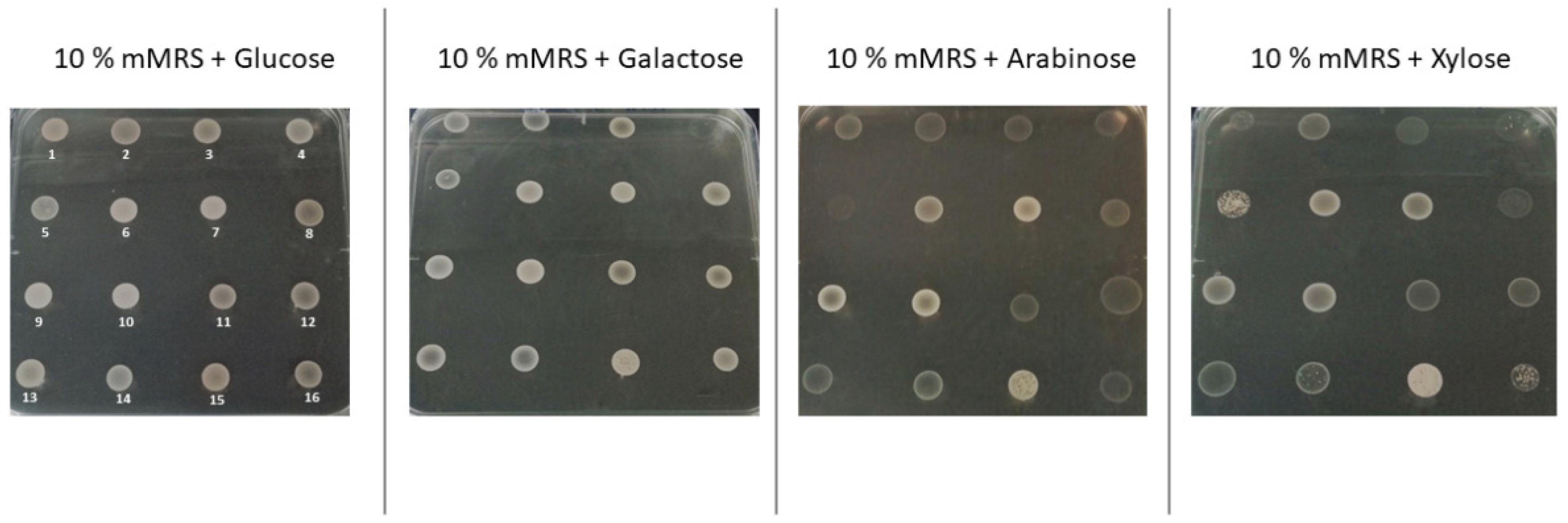 Applmicrobiol 02 00061 g001 Applmicrobiol 02 00061 g001