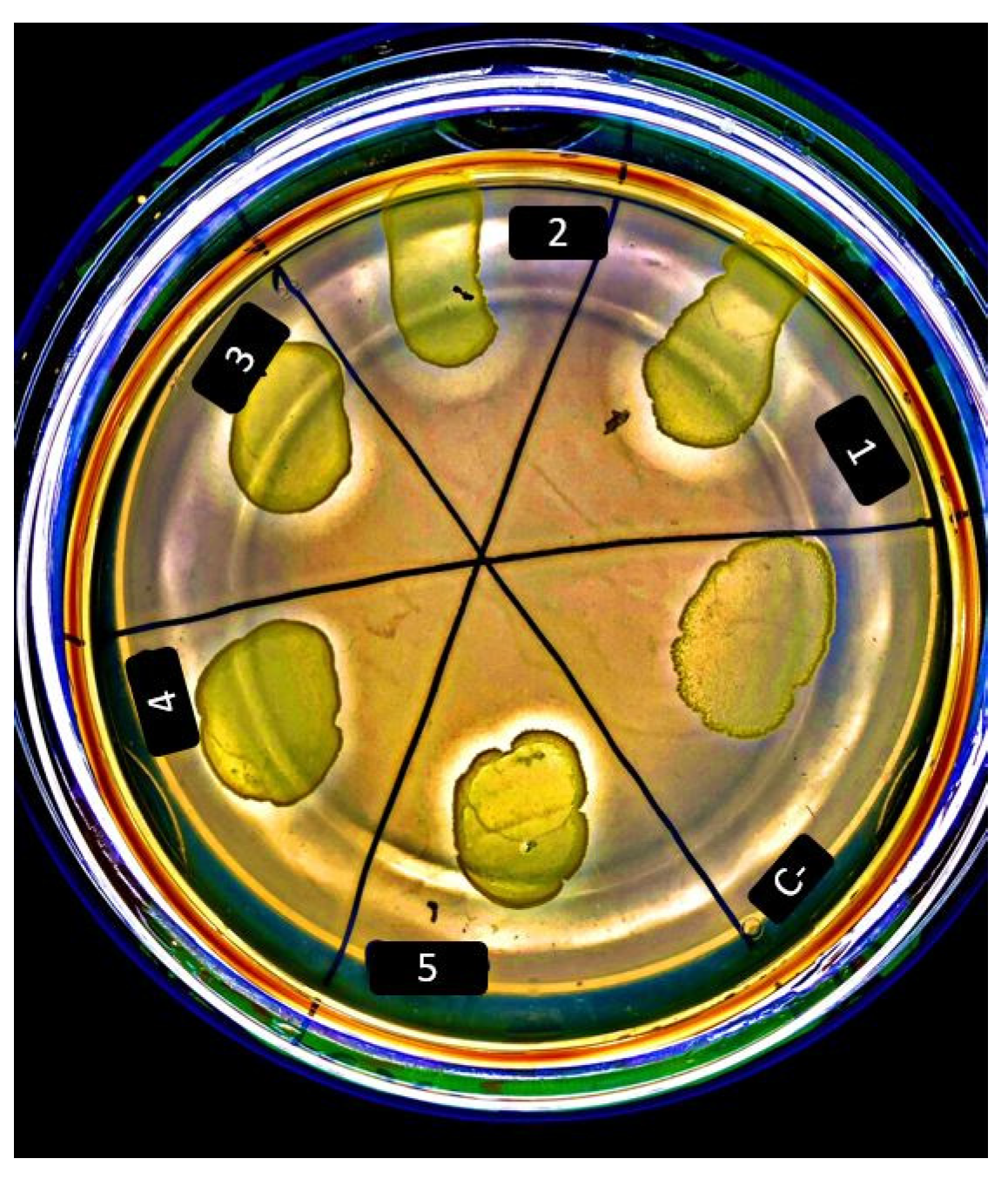 Applmicrobiol 02 00061 g002 Applmicrobiol 02 00061 g002