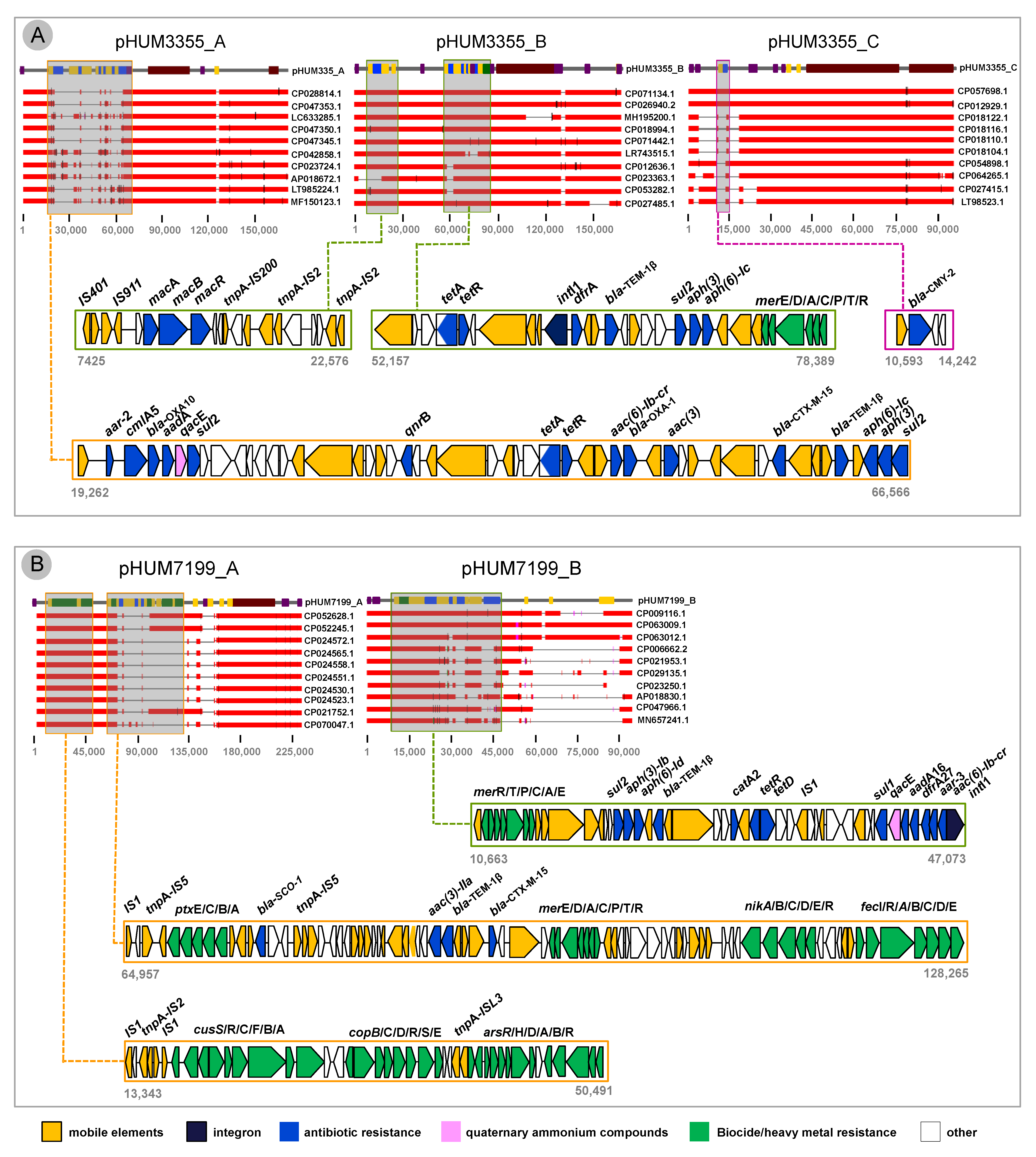 Applmicrobiol 02 00071 g004 Applmicrobiol 02 00071 g004