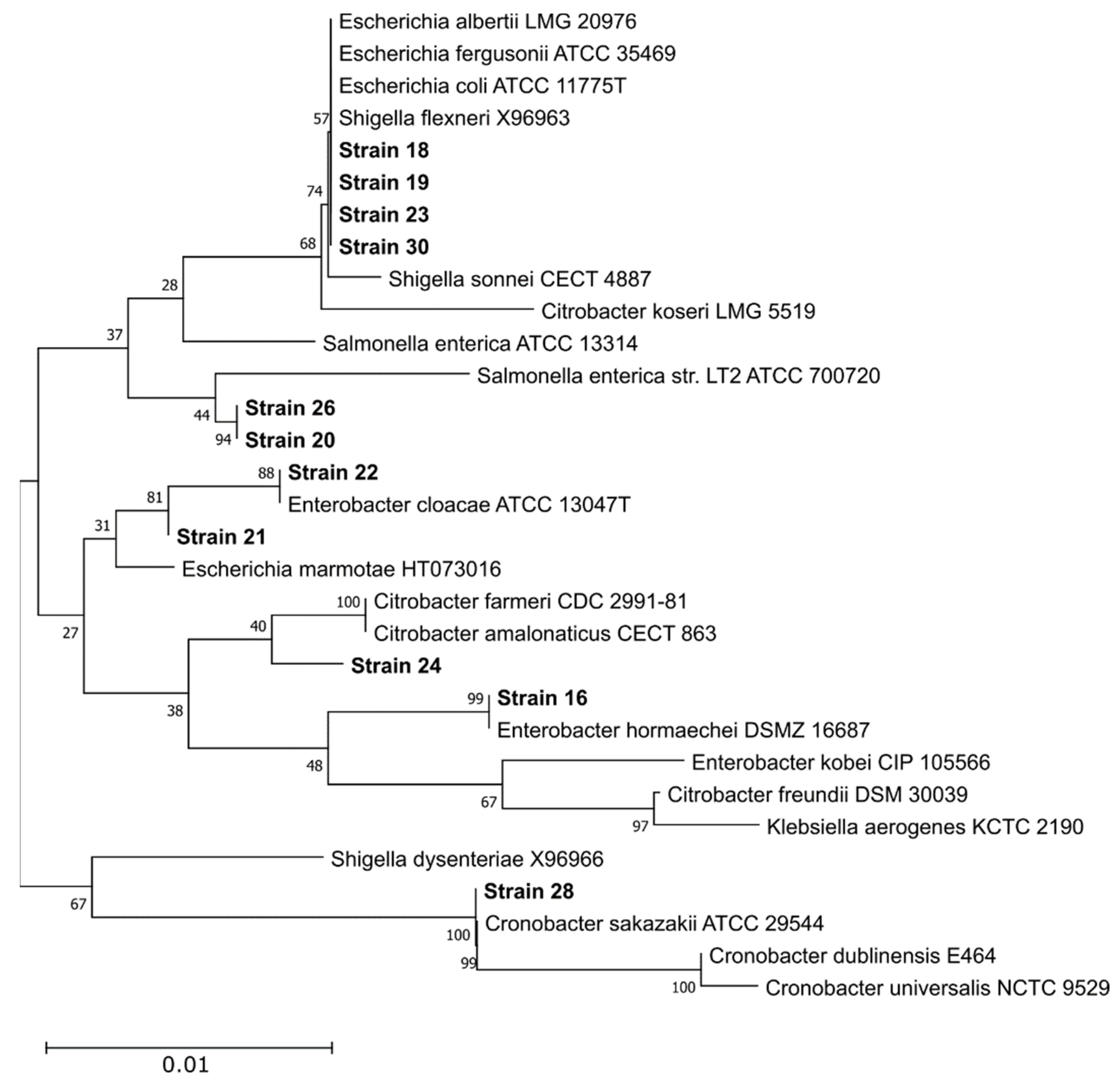 Applmicrobiol 03 00010 g004 Applmicrobiol 03 00010 g004