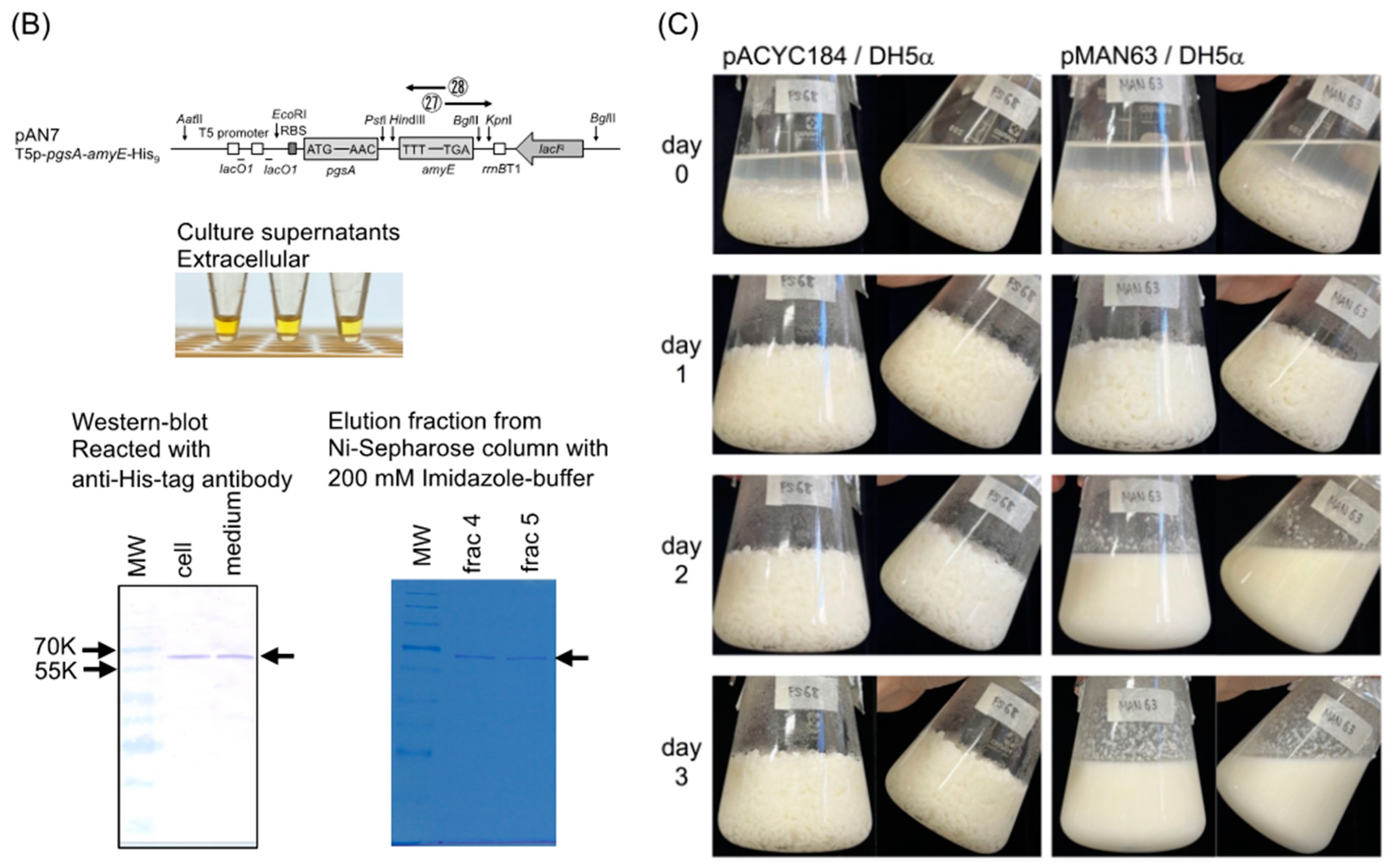 Applmicrobiol 03 00026 g002b Applmicrobiol 03 00026 g002b