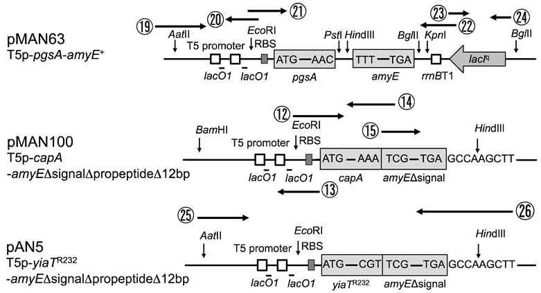 Applmicrobiol 03 00026 i001 Applmicrobiol 03 00026 i001