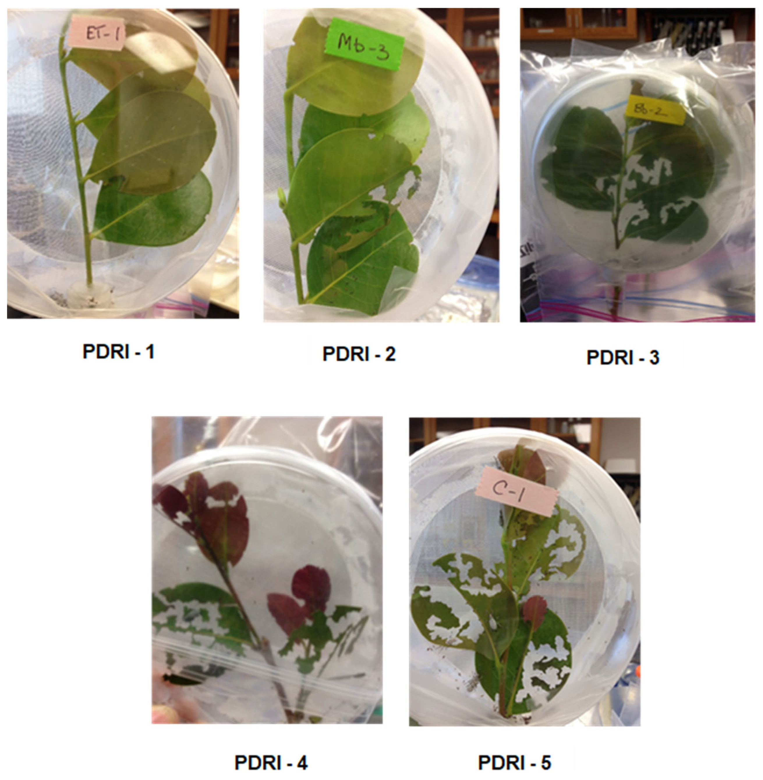 Applmicrobiol 03 00027 g002 Applmicrobiol 03 00027 g002