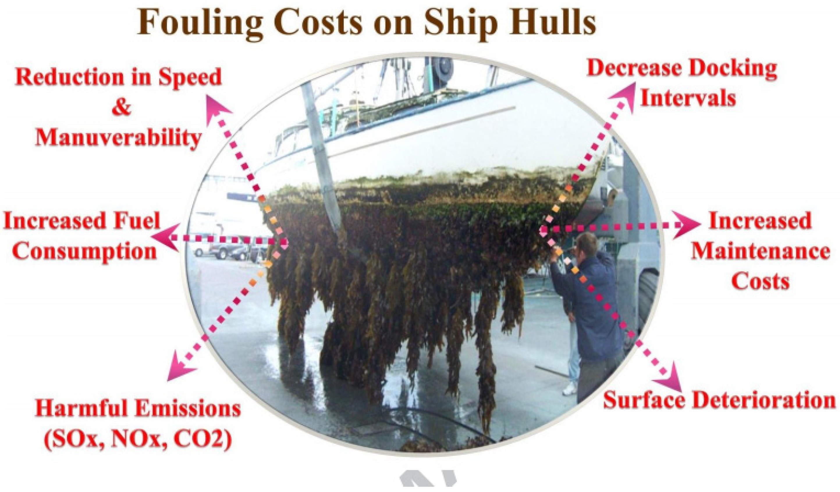 Applmicrobiol 03 00044 g008