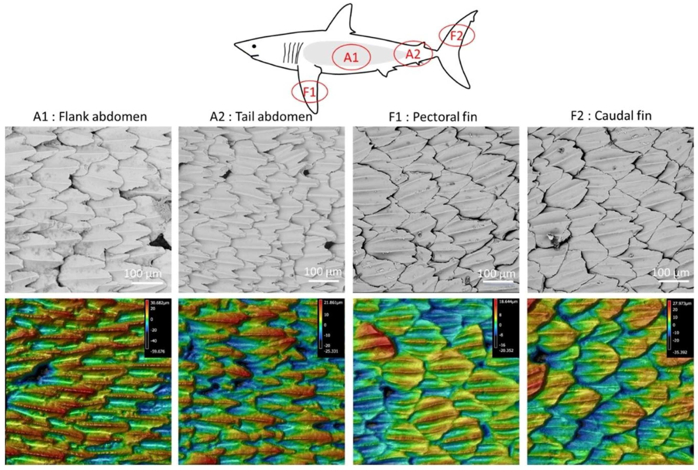 Applmicrobiol 03 00044 g011