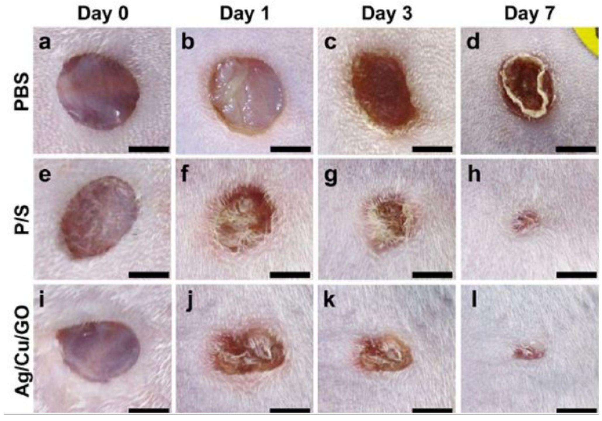 Applmicrobiol 03 00044 g014