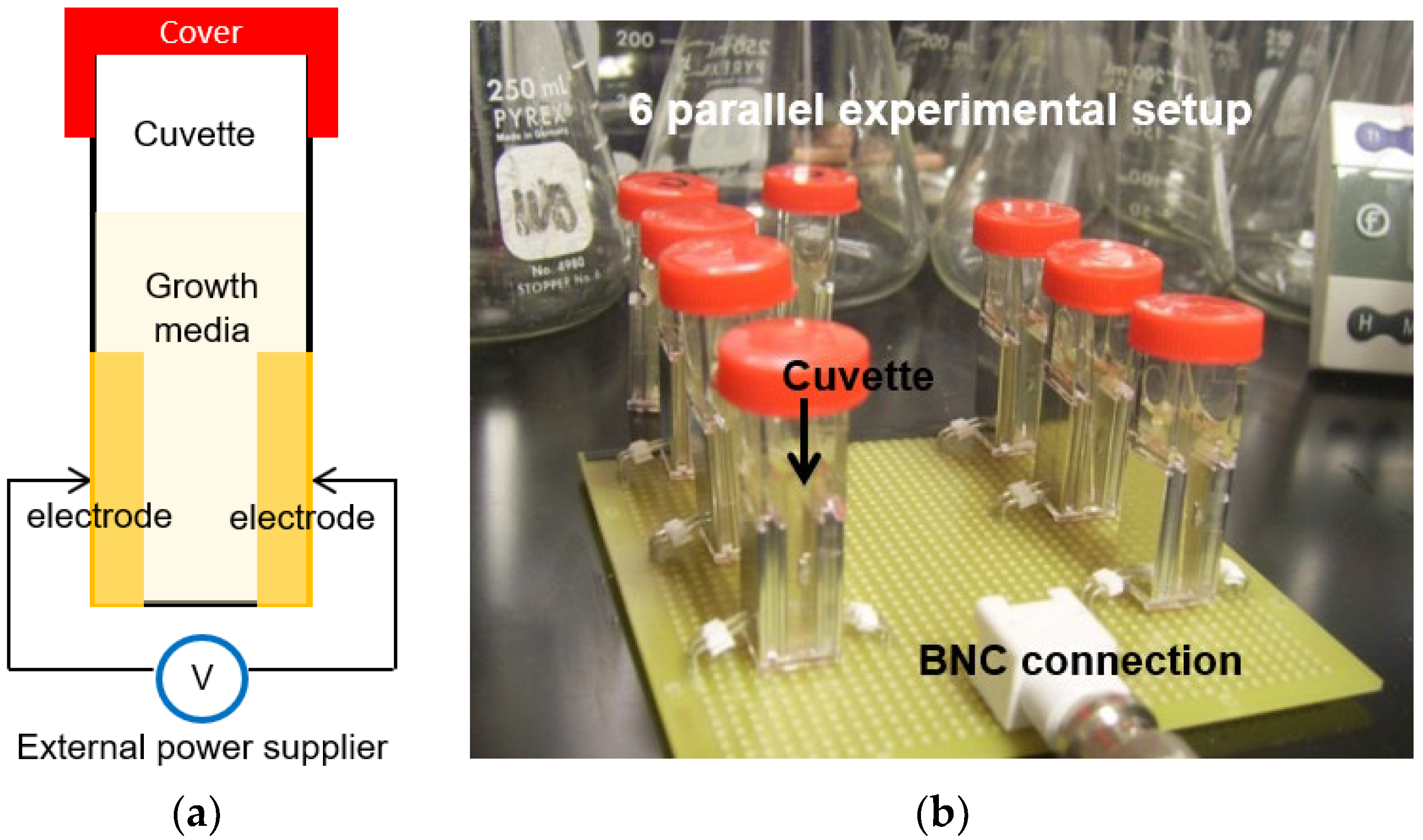 Applmicrobiol 03 00046 g003 Applmicrobiol 03 00046 g003