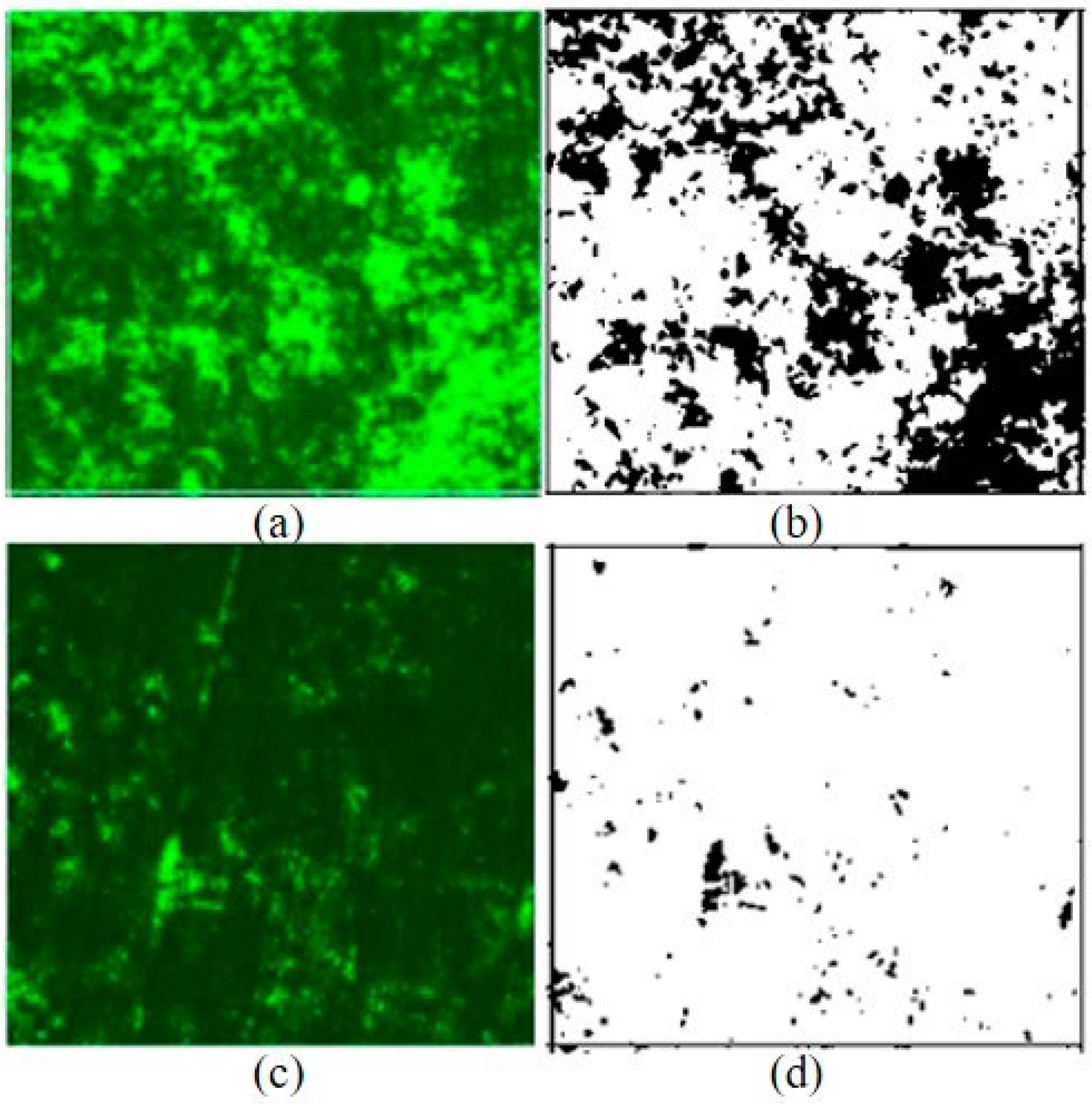Applmicrobiol 03 00046 g008 Applmicrobiol 03 00046 g008