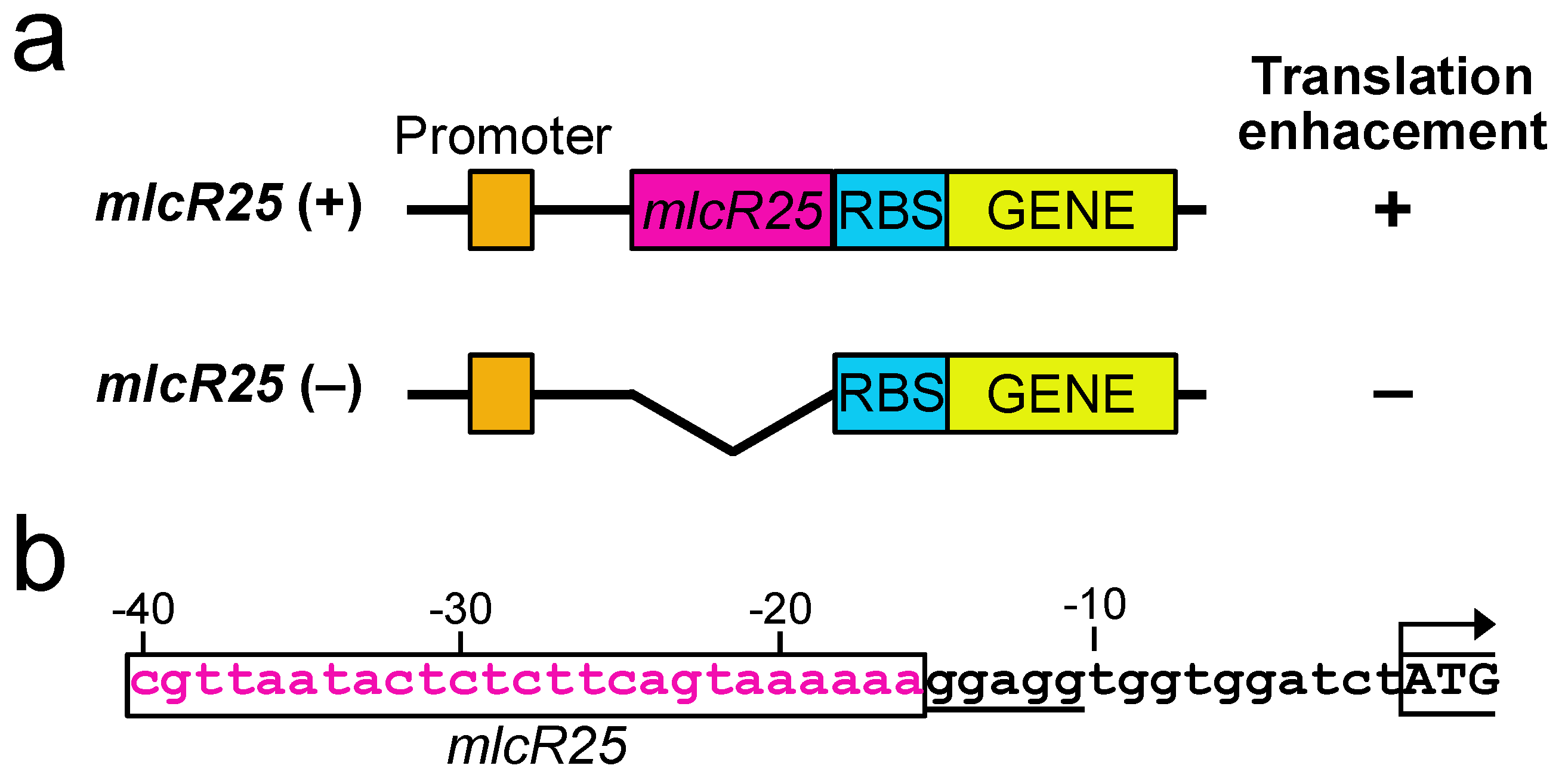 Applmicrobiol 03 00047 g001 Applmicrobiol 03 00047 g001