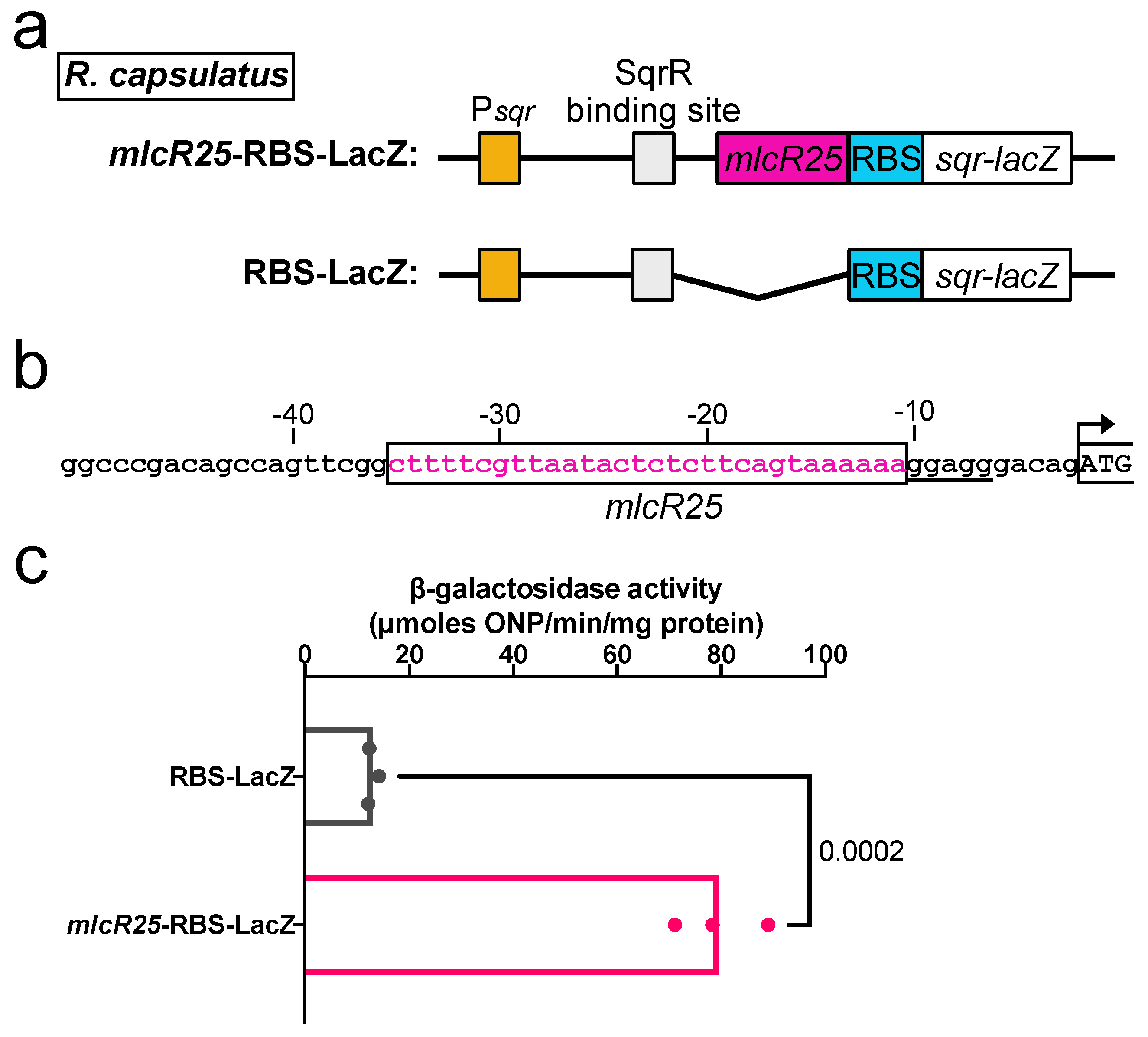 Applmicrobiol 03 00047 g004 Applmicrobiol 03 00047 g004
