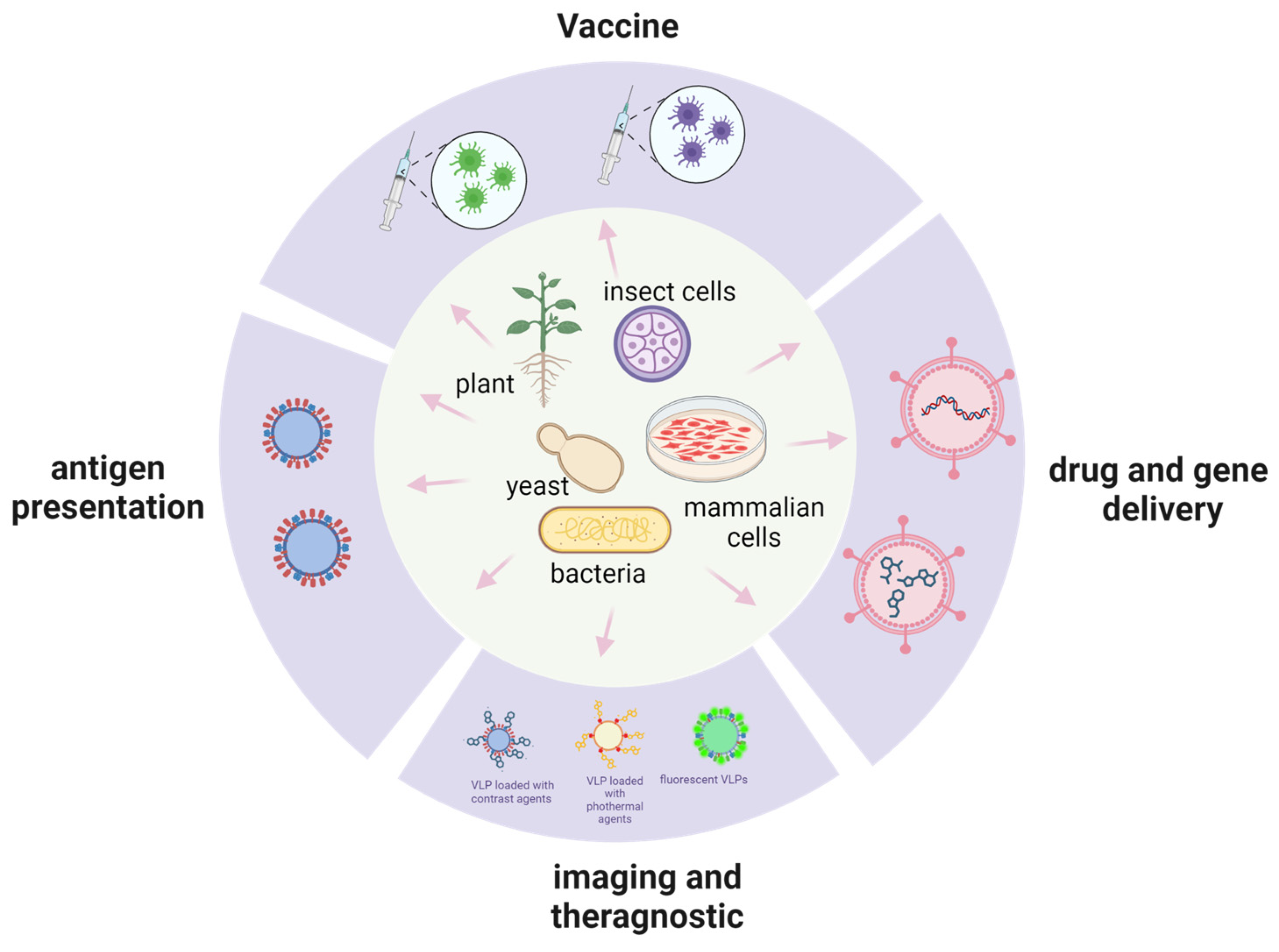 Applmicrobiol 03 00056 g001