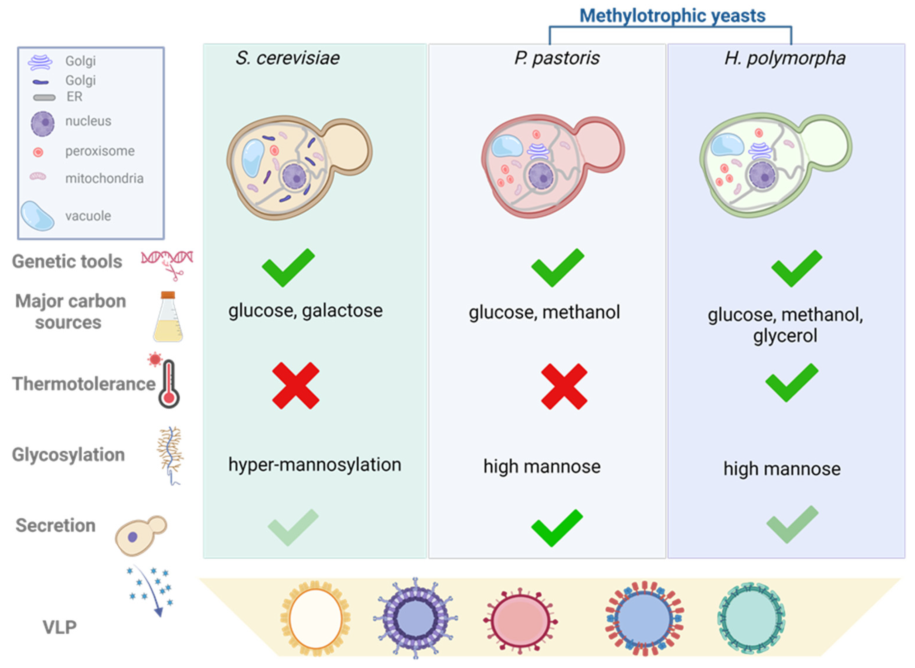 Applmicrobiol 03 00056 g004