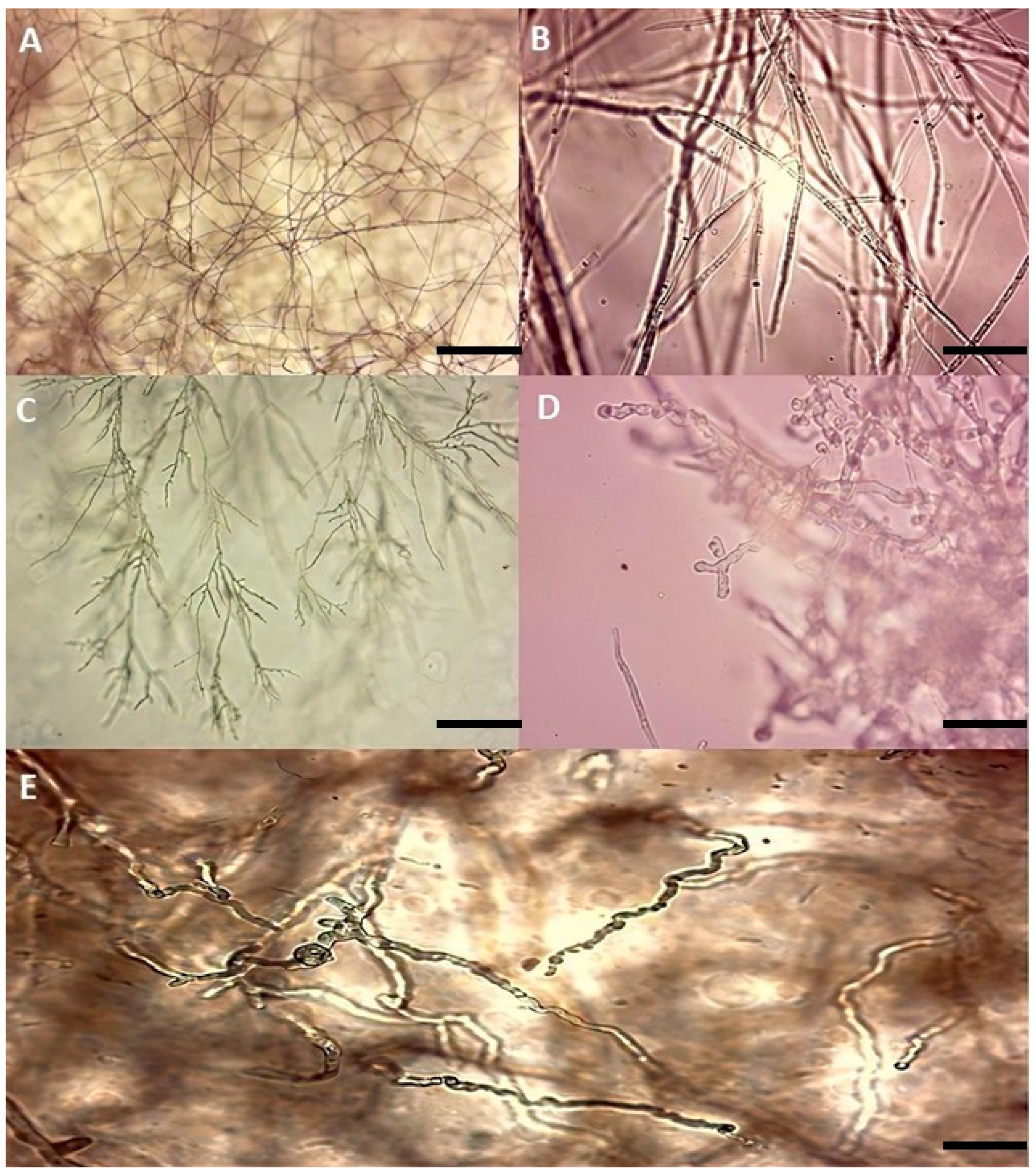 Applmicrobiol 03 00065 g003 Applmicrobiol 03 00065 g003