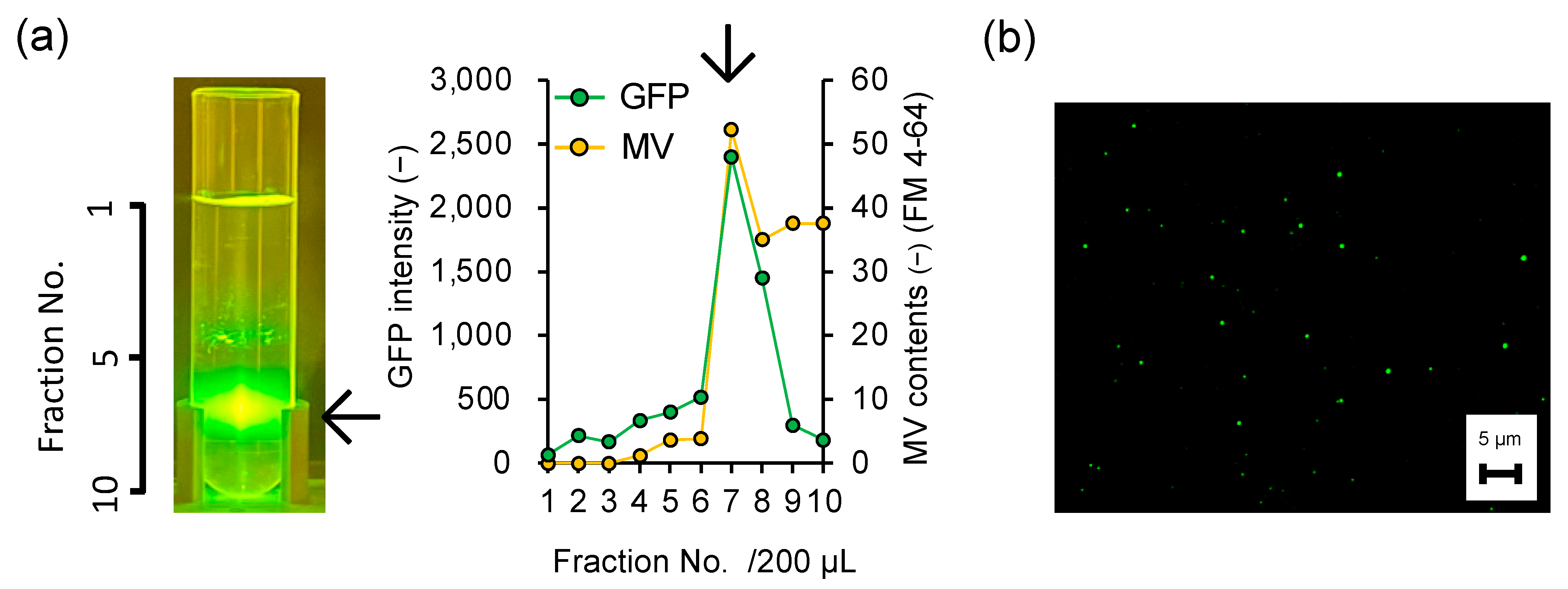Applmicrobiol 03 00070 g003