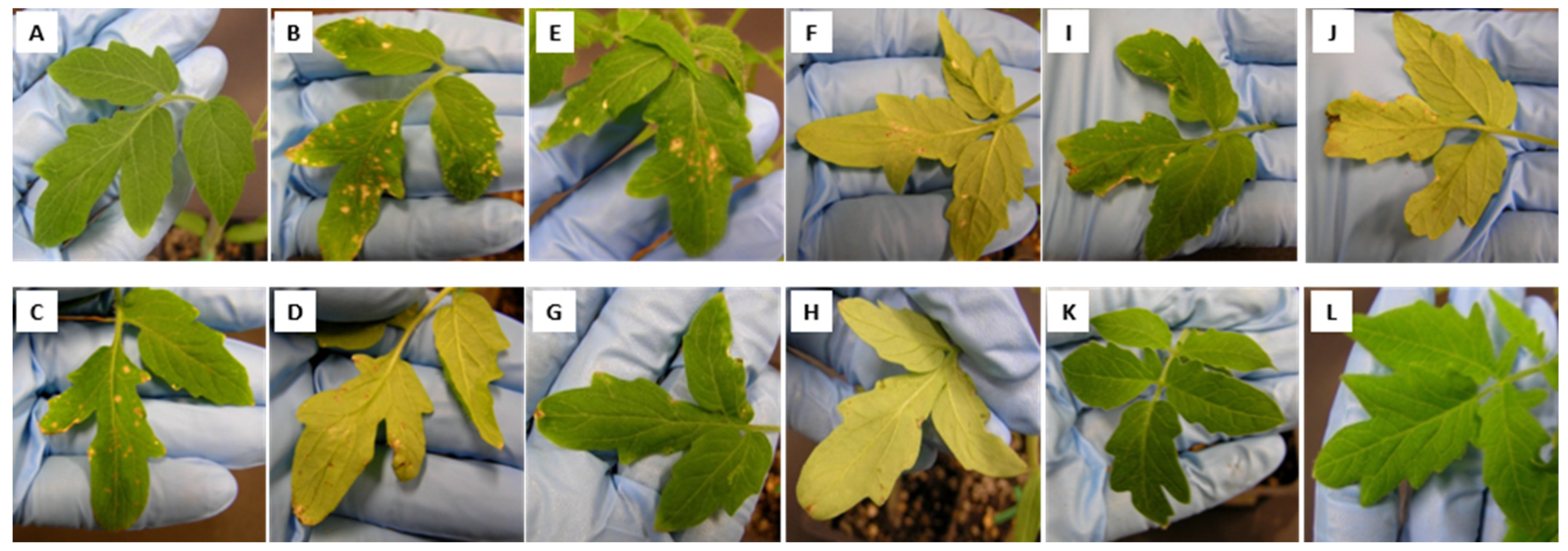 Applmicrobiol 03 00076 g002 Applmicrobiol 03 00076 g002