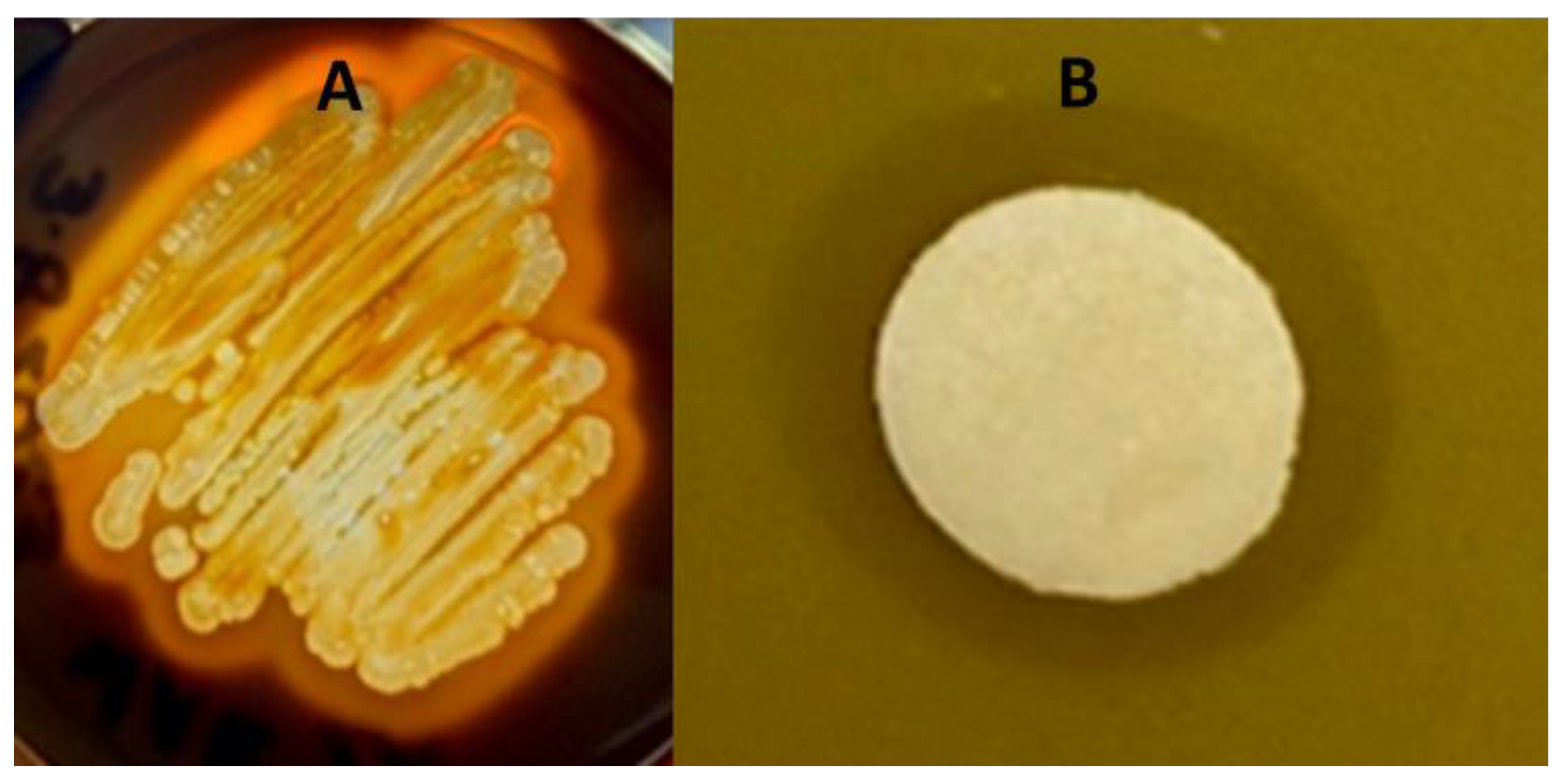 Applmicrobiol 03 00077 g001