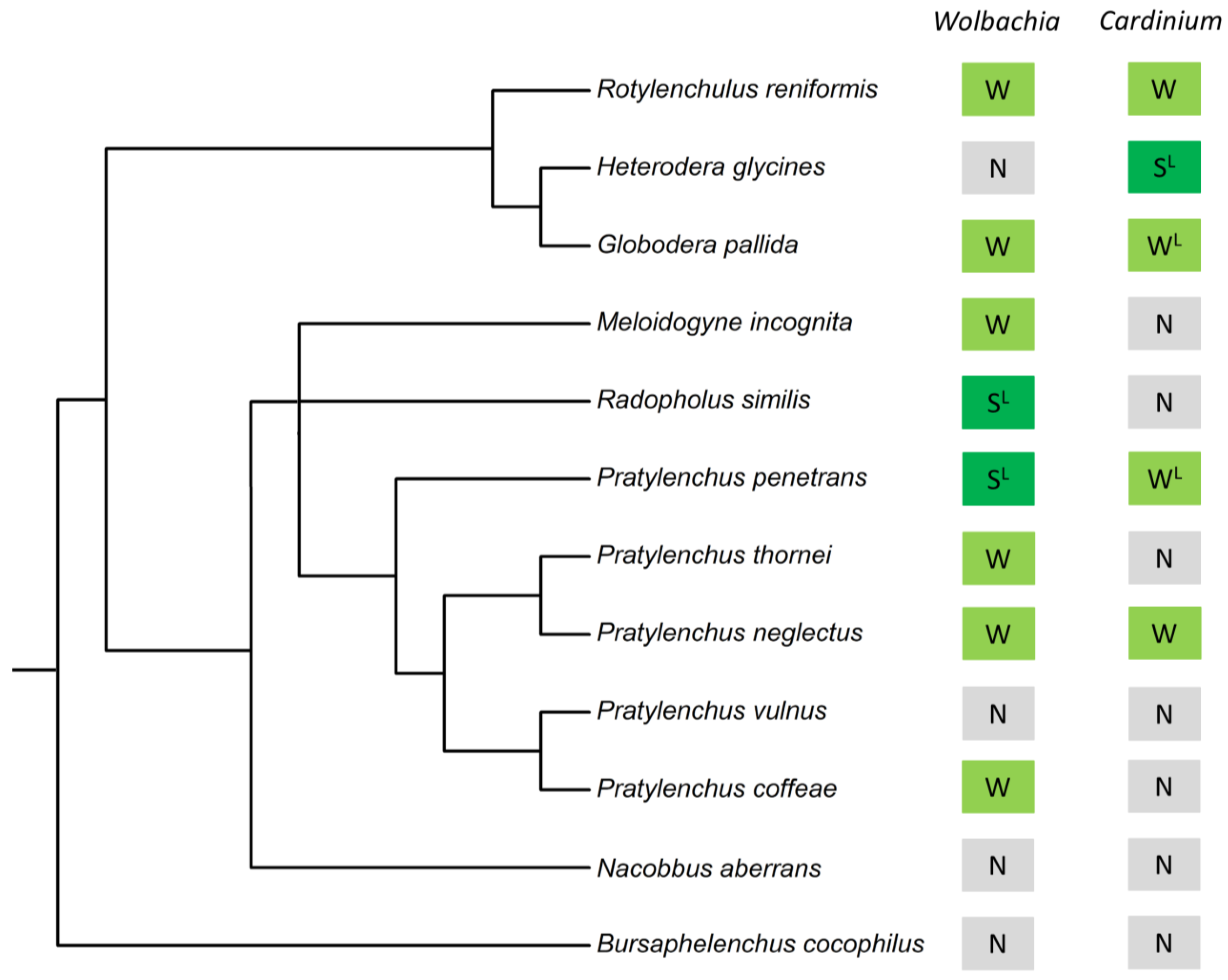 Applmicrobiol 03 00085 g003 Applmicrobiol 03 00085 g003