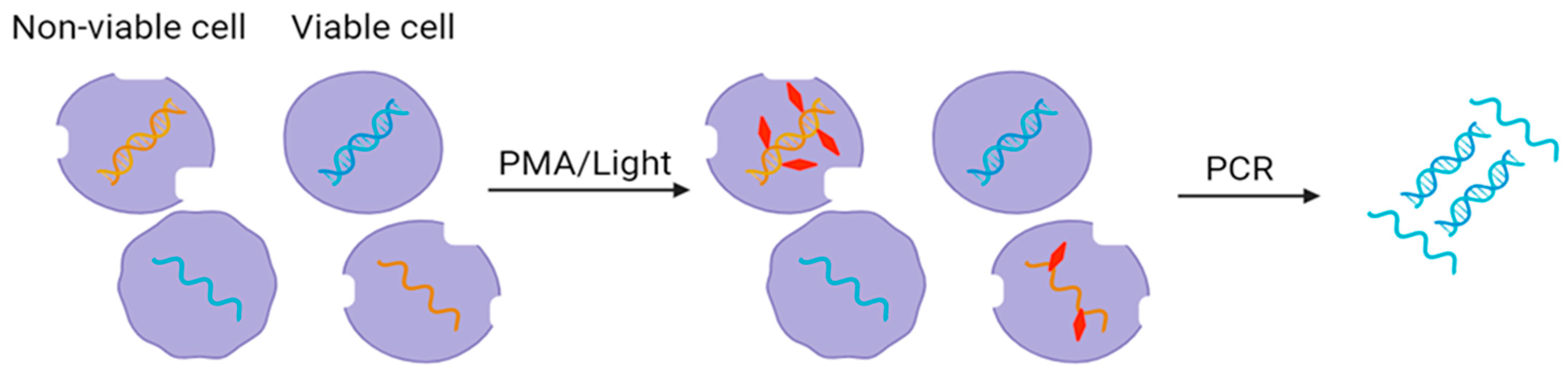 Applmicrobiol 04 00001 g003