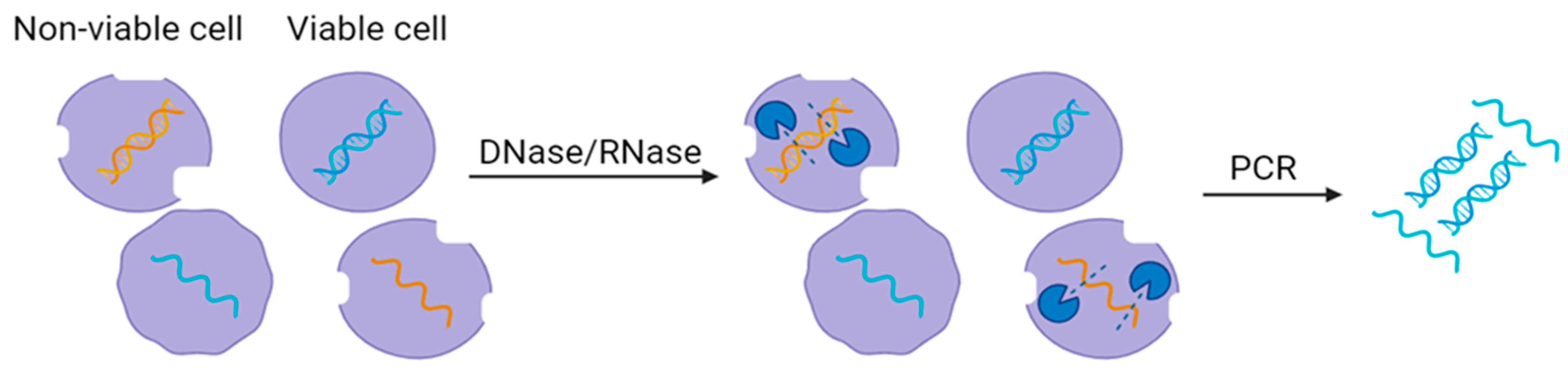 Applmicrobiol 04 00001 g004