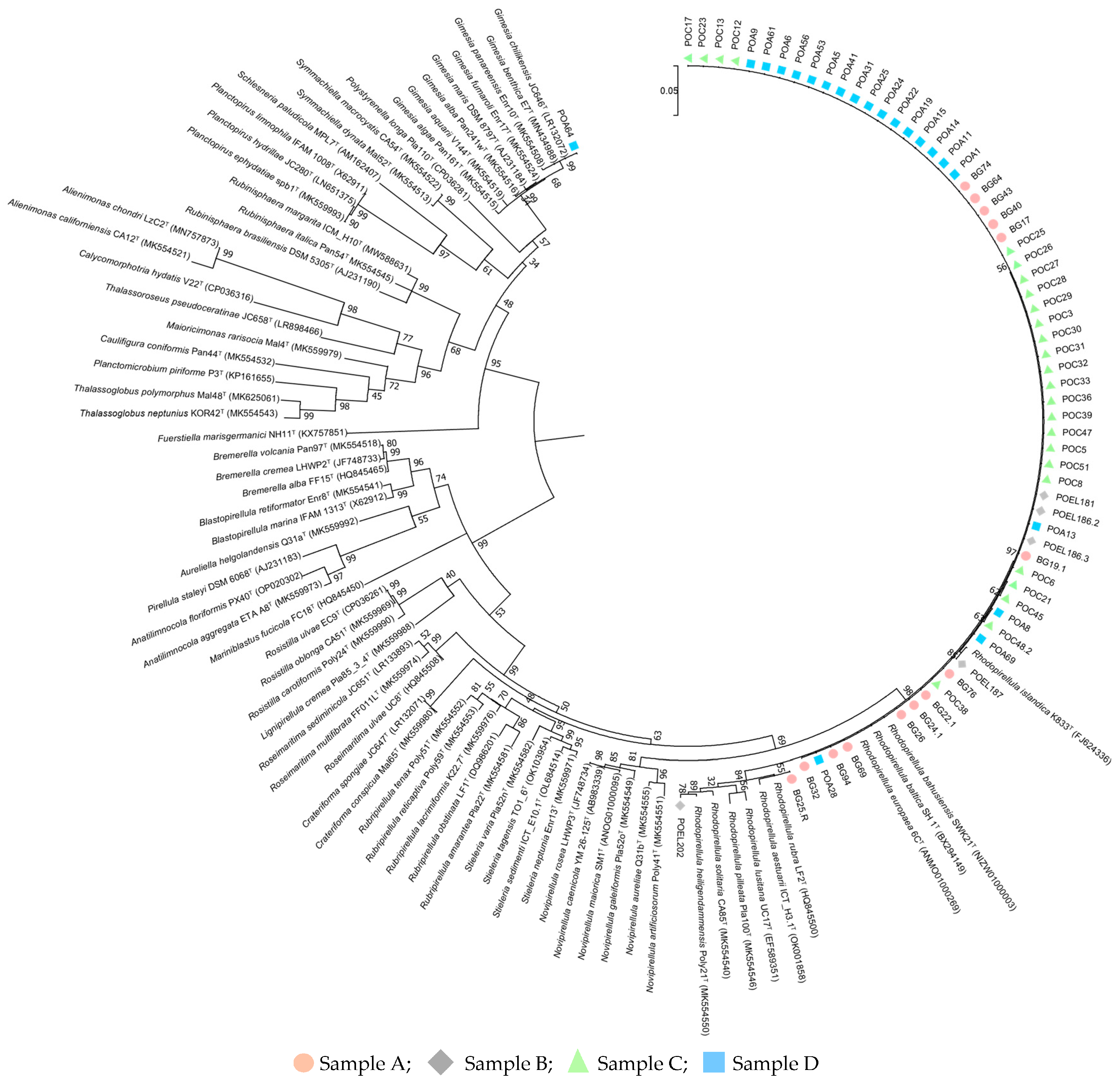 Applmicrobiol 04 00002 g001 Applmicrobiol 04 00002 g001