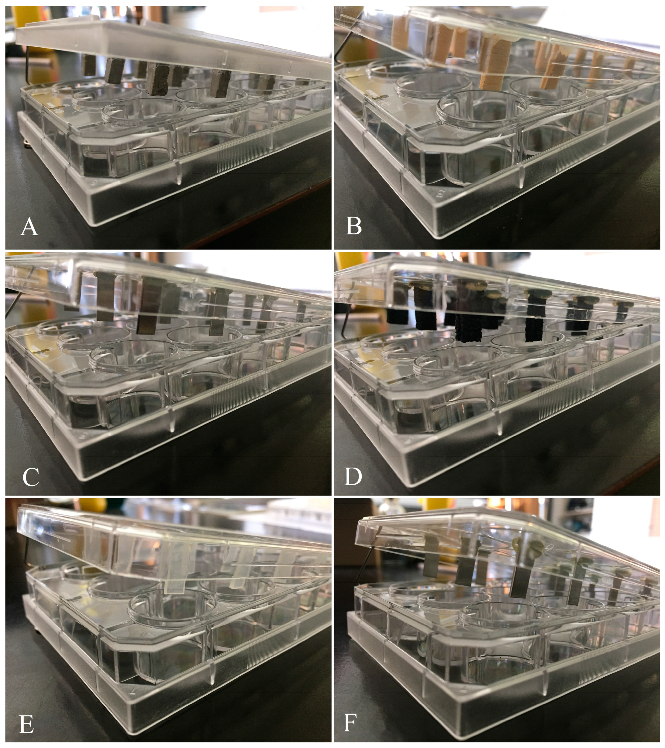 Applmicrobiol 04 00003 g001