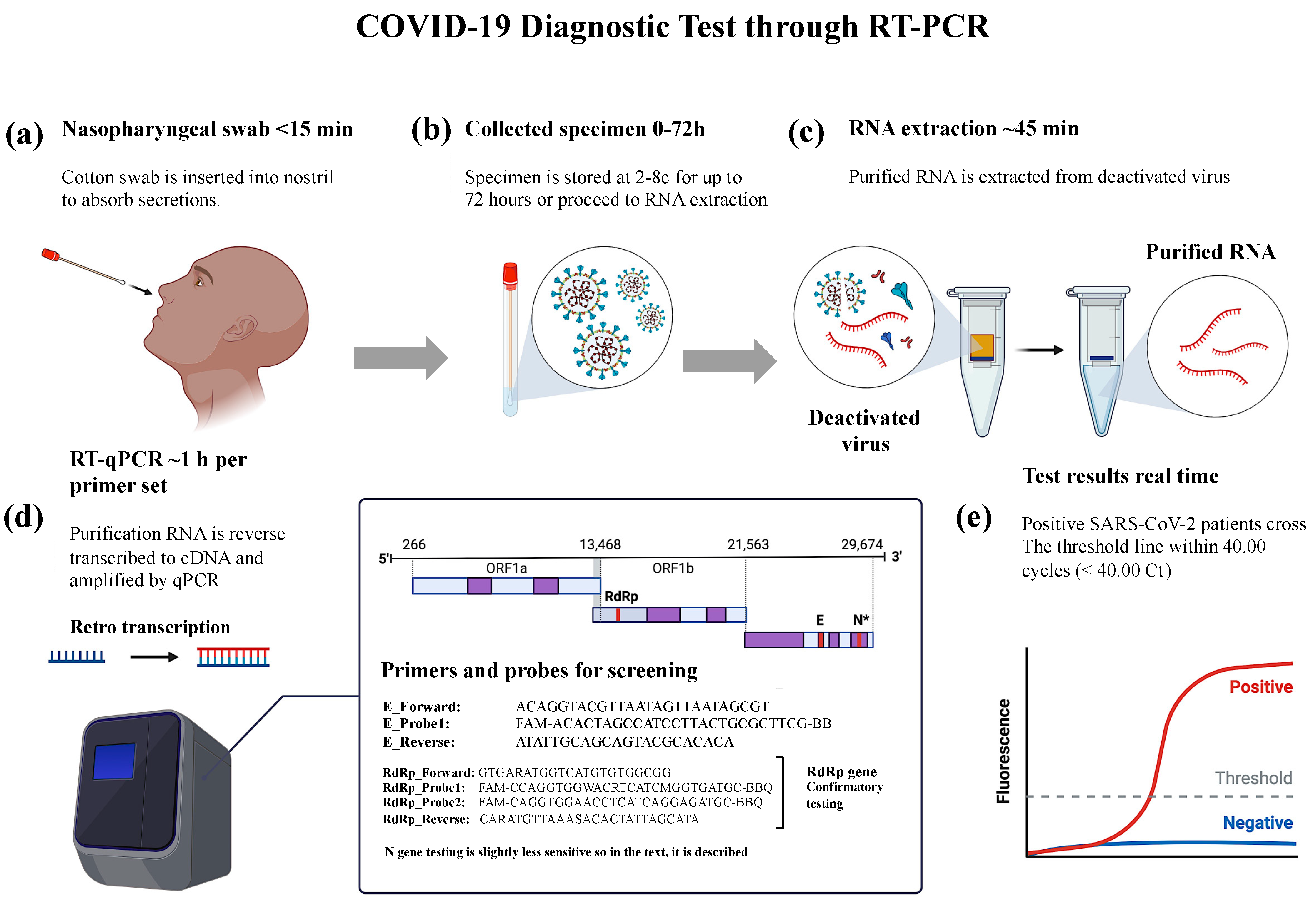 Applmicrobiol 04 00010 g001