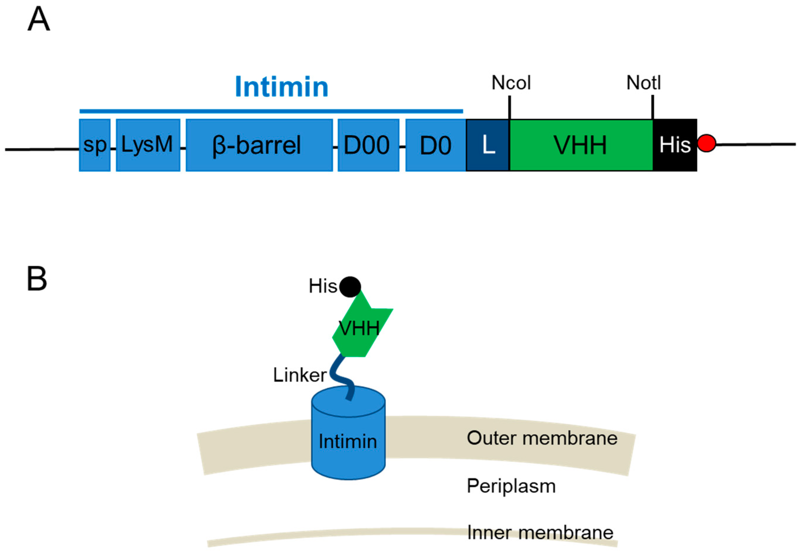 Applmicrobiol 04 00016 g001